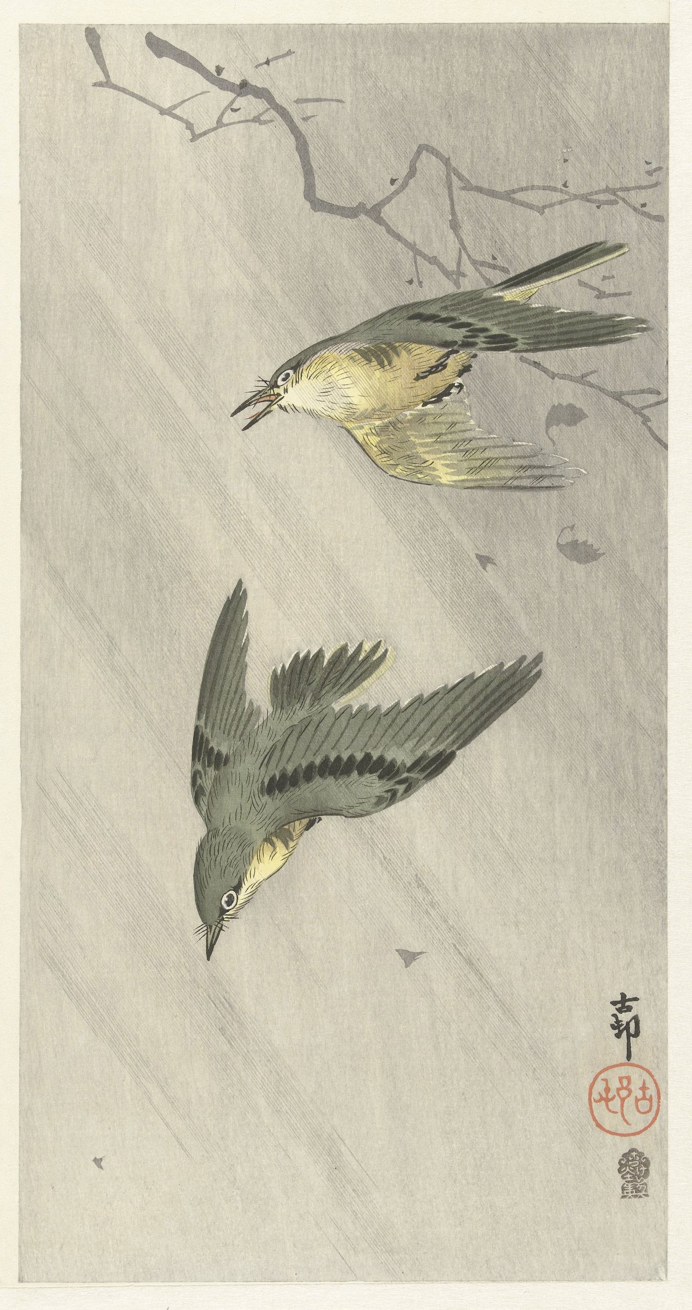 《雨中的鸣鸟》（Songbirds in rain）｜小原古邨 Ohara Koson｜1900-1910
