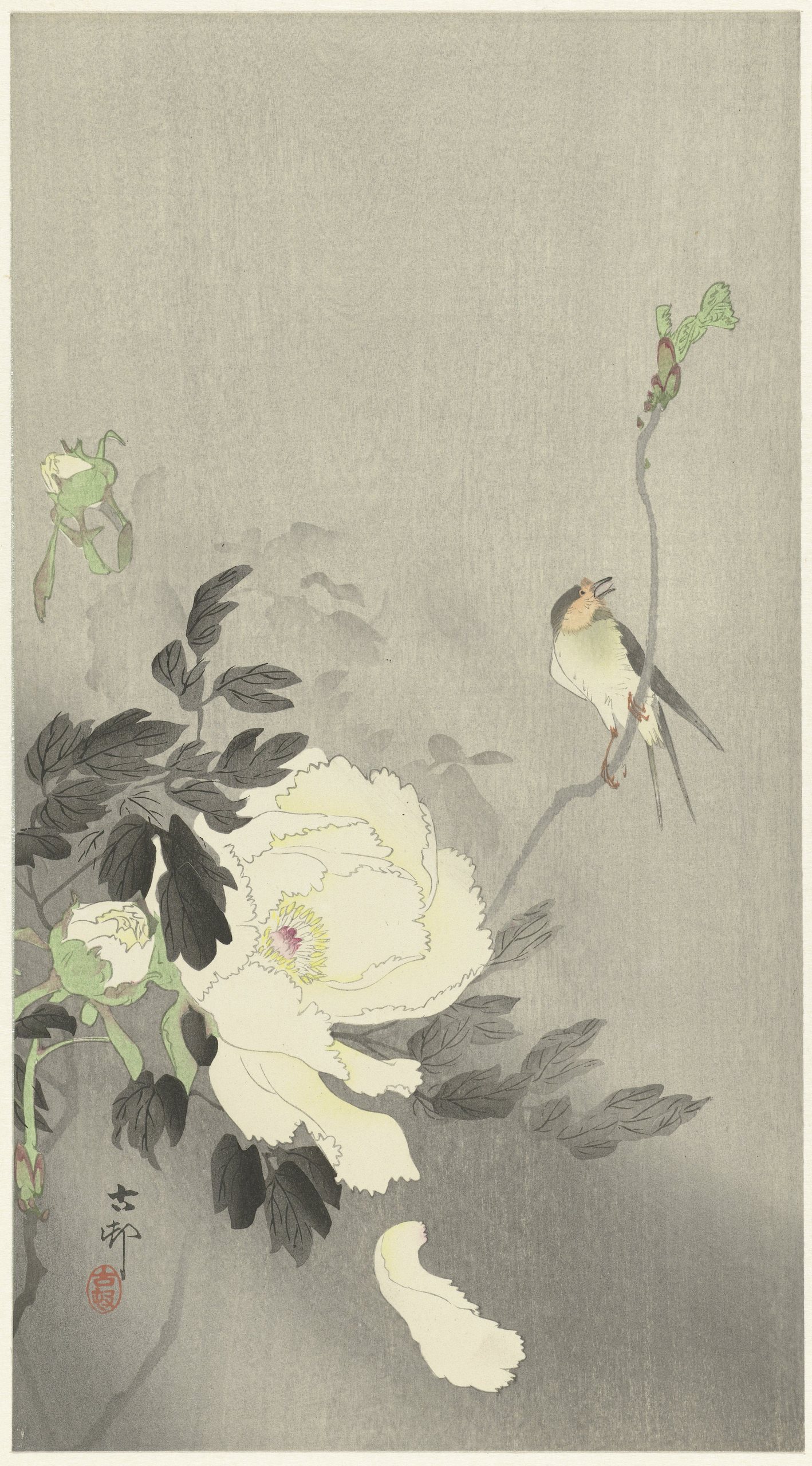 《与牡丹燕子》（Swallow with Peony）｜小原古邨 Ohara Koson｜1900-1930
