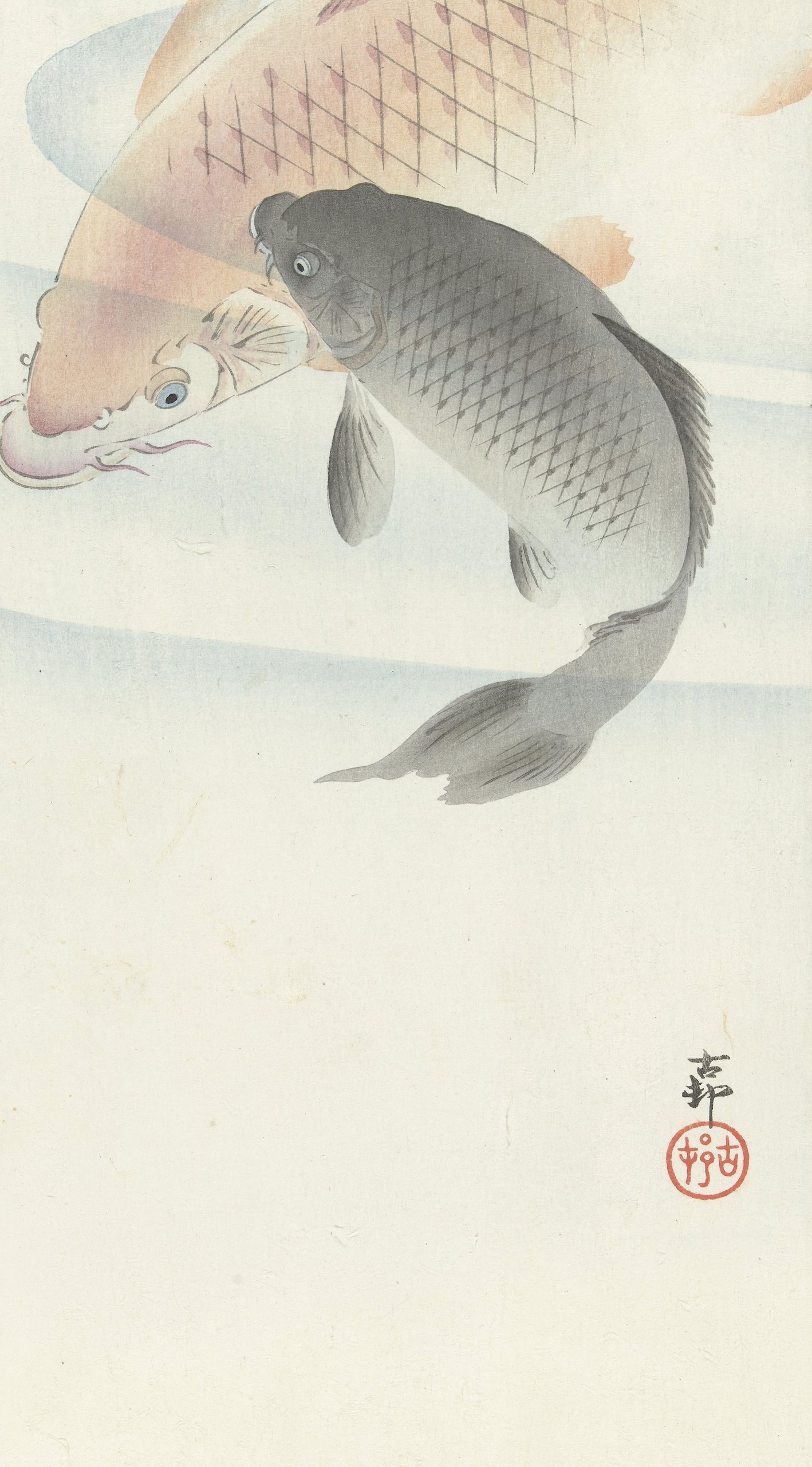 《两条鲤鱼》（Two Carps）｜小原古邨 Ohara Koson｜1900-1930