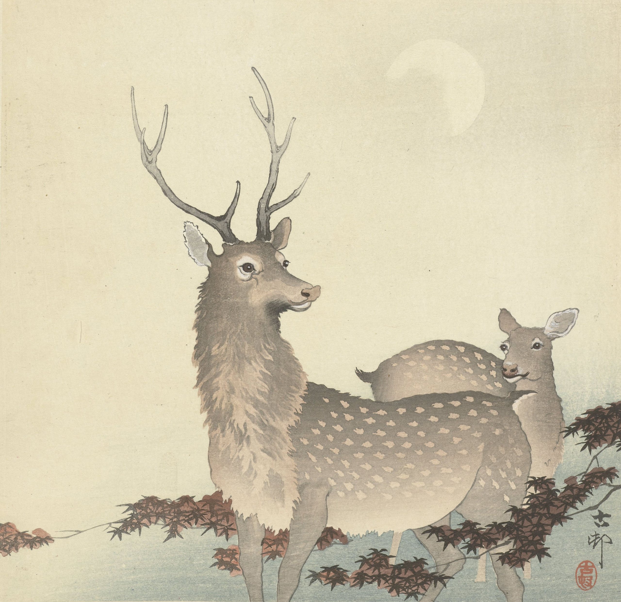 《两只鹿》（Two Deer）｜小原古邨 Ohara Koson｜1900-1930
