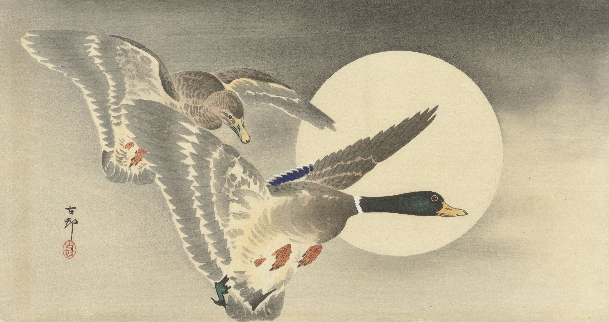 《满月时的两只鸭子》（Two ducks at full moon）｜小原古邨 Ohara Koson｜1900-1930
