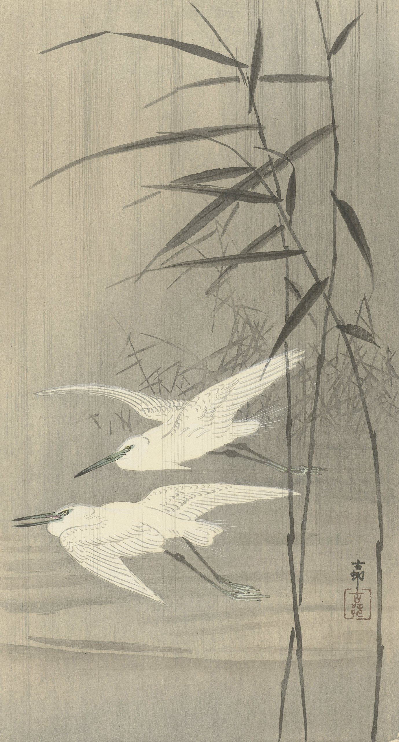 《两只白鹭在飞行》（Two egrets in flight）｜小原古邨 Ohara Koson｜1900-1936