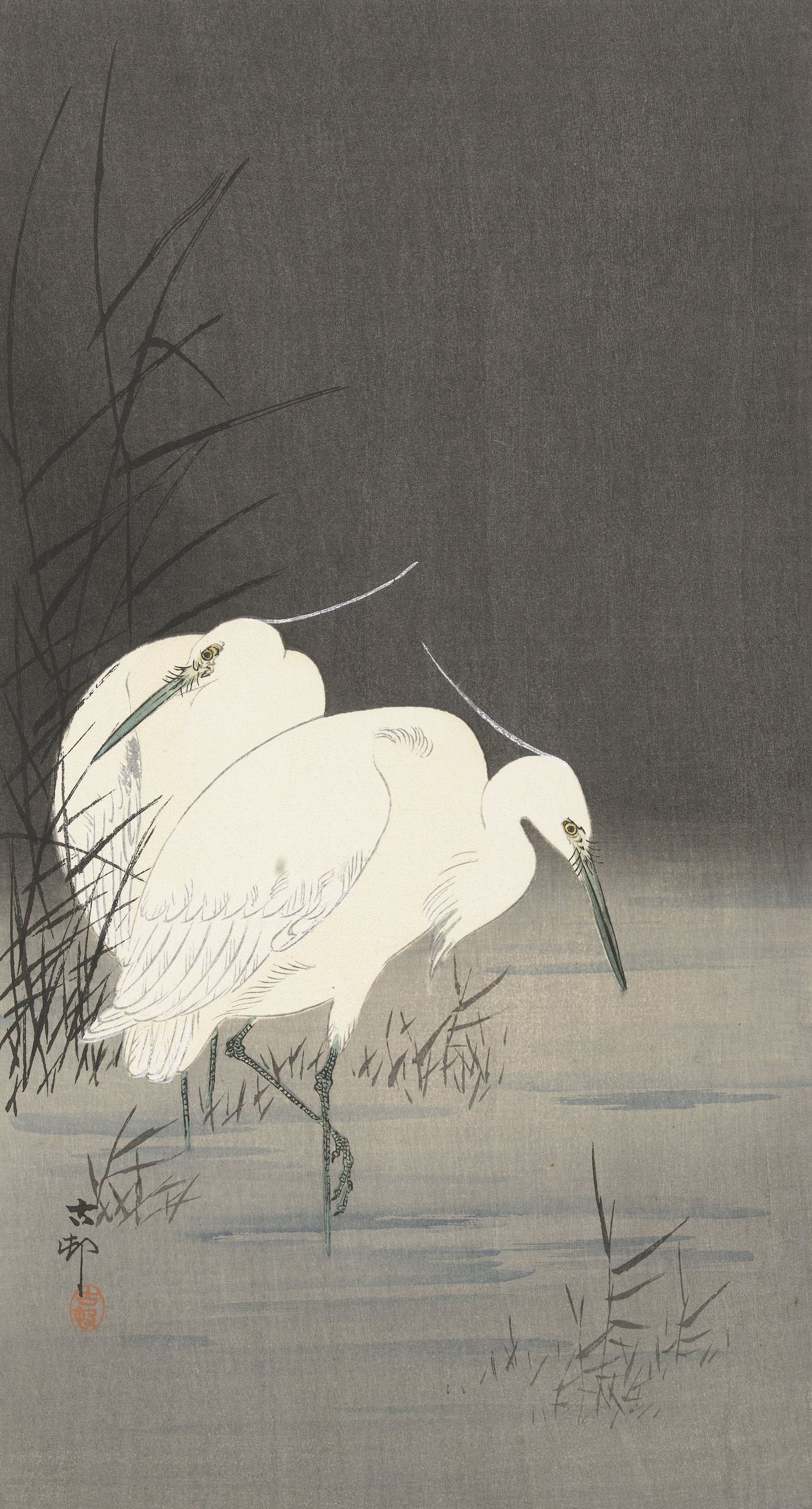 《芦苇丛中的两只白鹭》（Two egrets in the reeds）｜小原古邨 Ohara Koson｜1900-1930