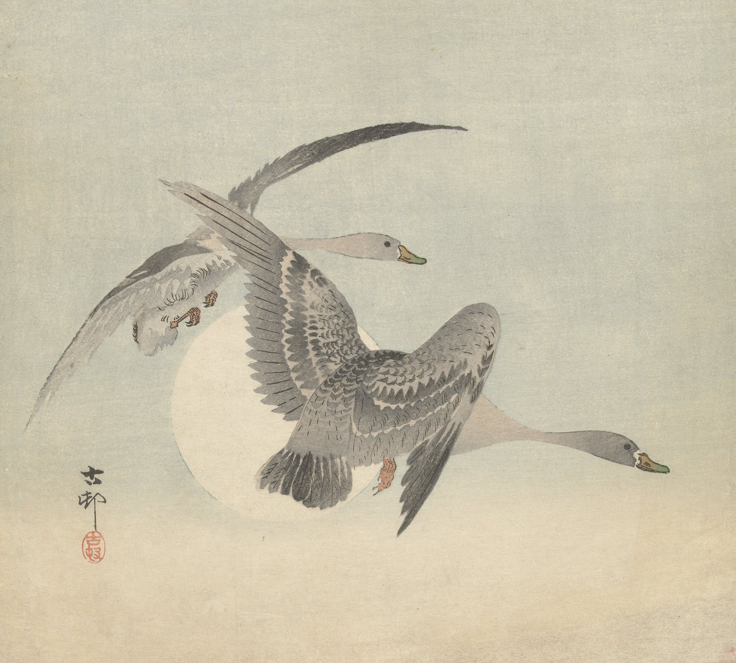 《两只鹅在飞行》（Two geese in flight）｜小原古邨 Ohara Koson｜1900-1930