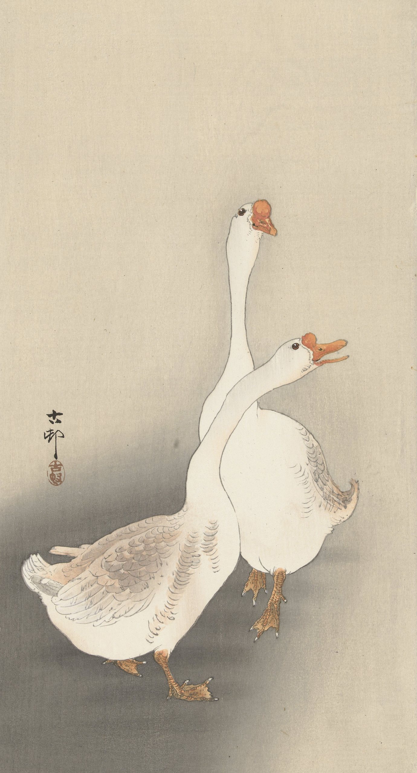 《两只鹅。》（Two geese.）｜小原古邨 Ohara Koson｜1900-1930