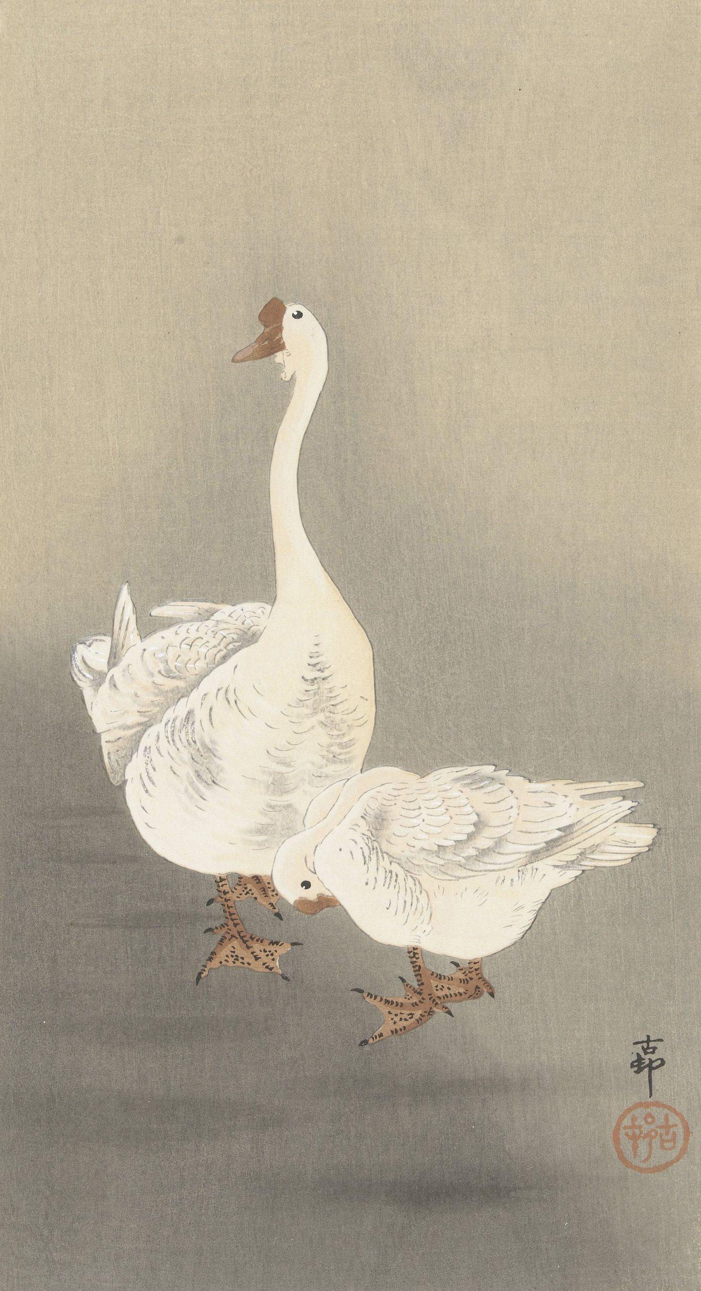 《两只鹅》（Two geese）｜小原古邨 Ohara Koson｜1900-1930