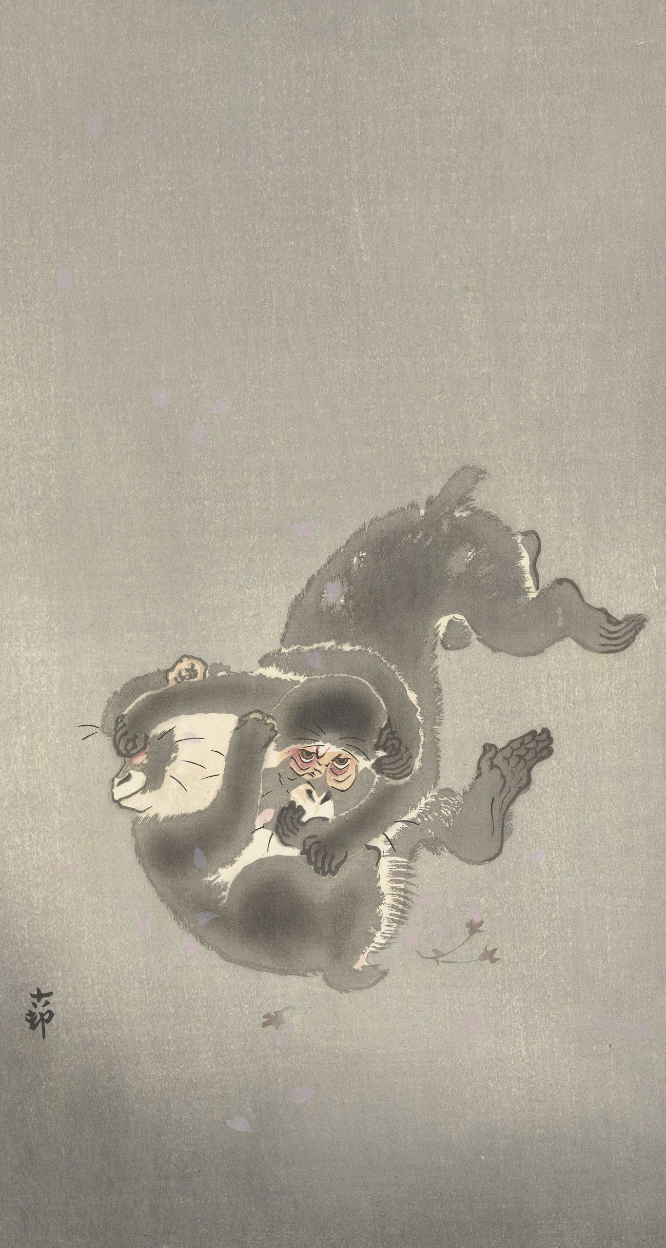 《两只猴子在玩耍》（Two monkeys playing）｜小原古邨 Ohara Koson｜1900-1930