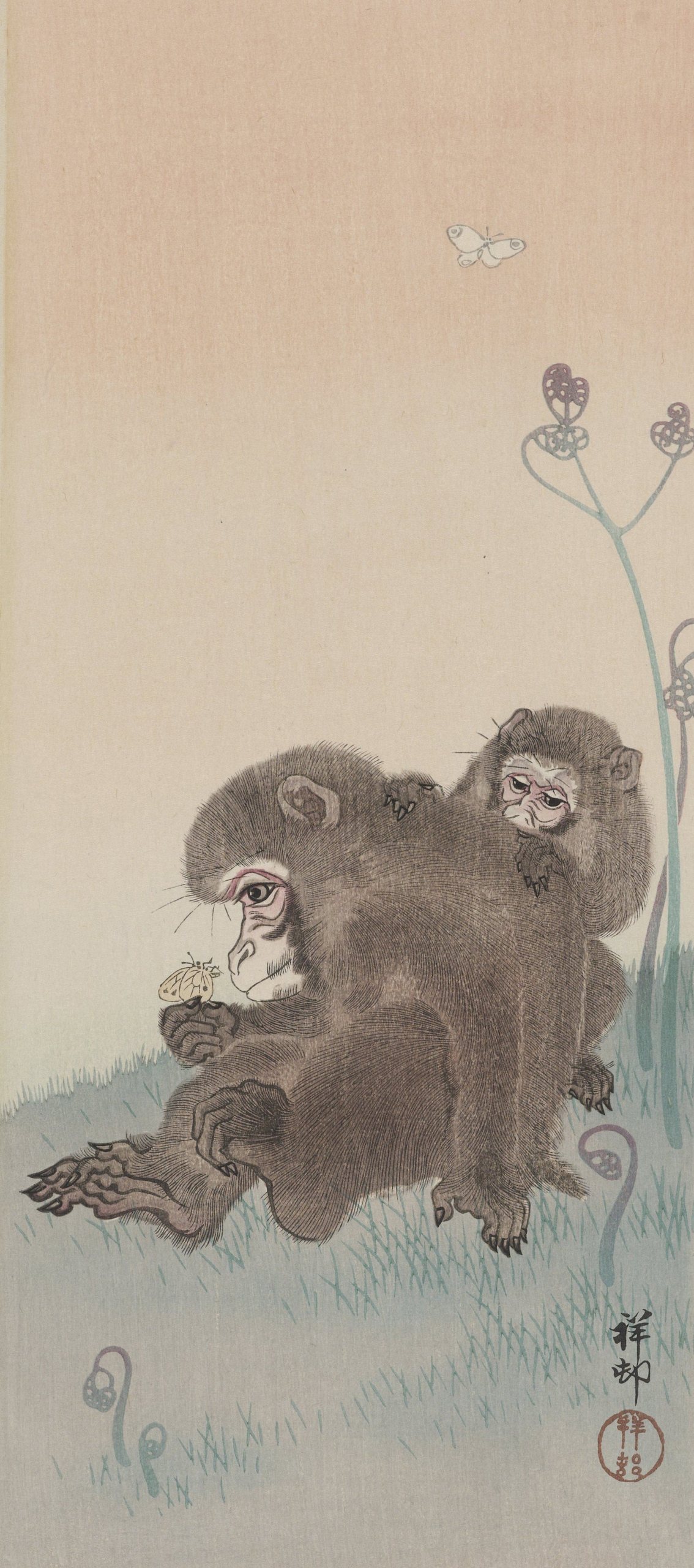 《两只猴子与蝴蝶》（Two monkeys with butterfly）｜小原古邨 Ohara Koson｜1900-1945