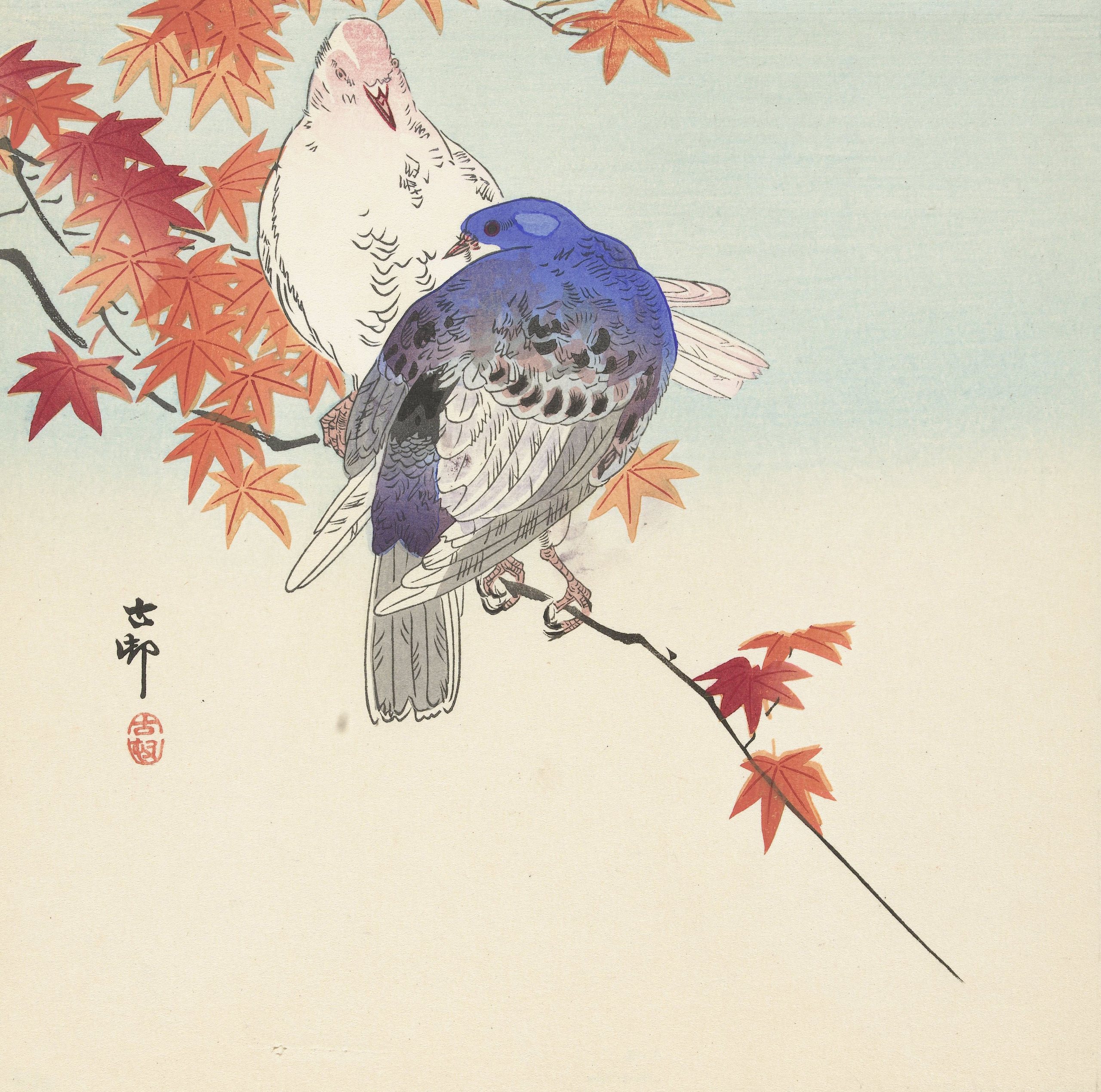《秋天树枝上的两只鸽子》（Two pigeons on autumnal branch）｜小原古邨 Ohara Koson｜1900-1936
