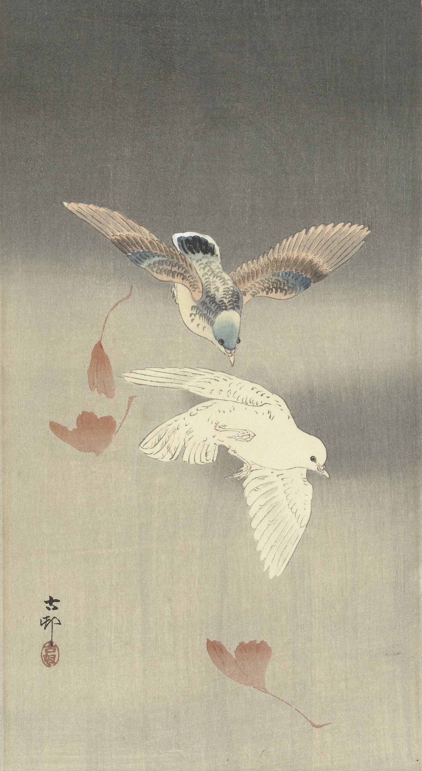 《两只银杏叶飘落的鸽子》（Two pigeons with falling ginkgo leaves）｜小原古邨 Ohara Koson｜1900-1930