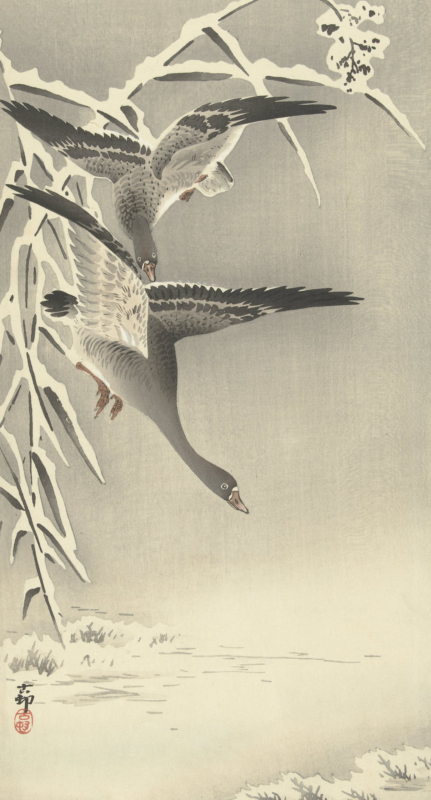 《雪景中的两只白额雁，》（Two white-fronted geese in snowy landscape,）｜小原古邨 Ohara Koson｜1900-1930