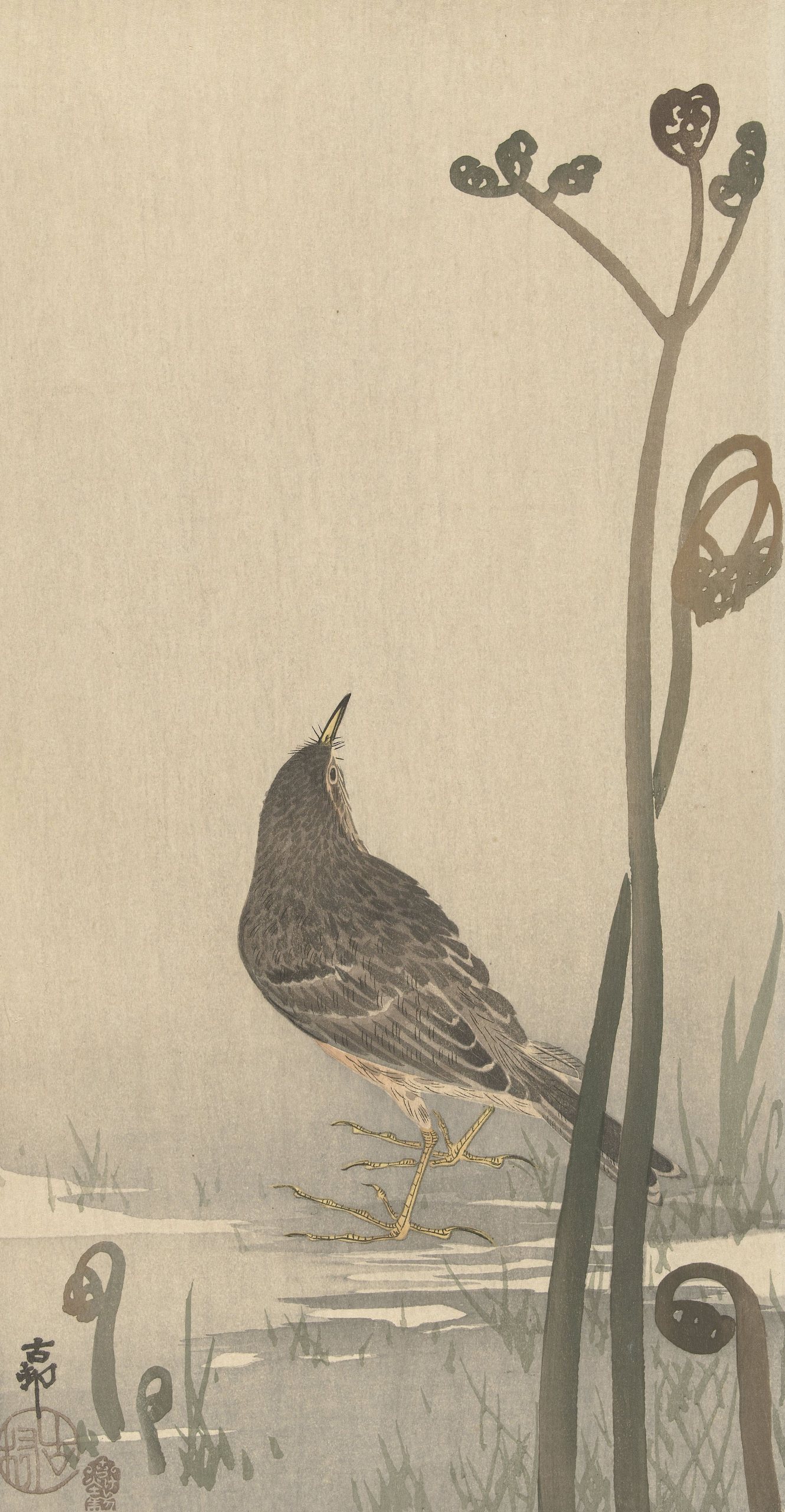 《水声吱吱作响》（Water squeaker）｜小原古邨 Ohara Koson｜1900-1930