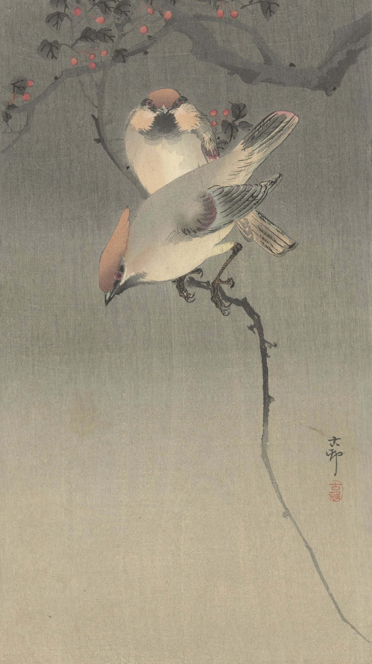 《太平鸟》（Waxwing birds）｜小原古邨 Ohara Koson｜1900-1930