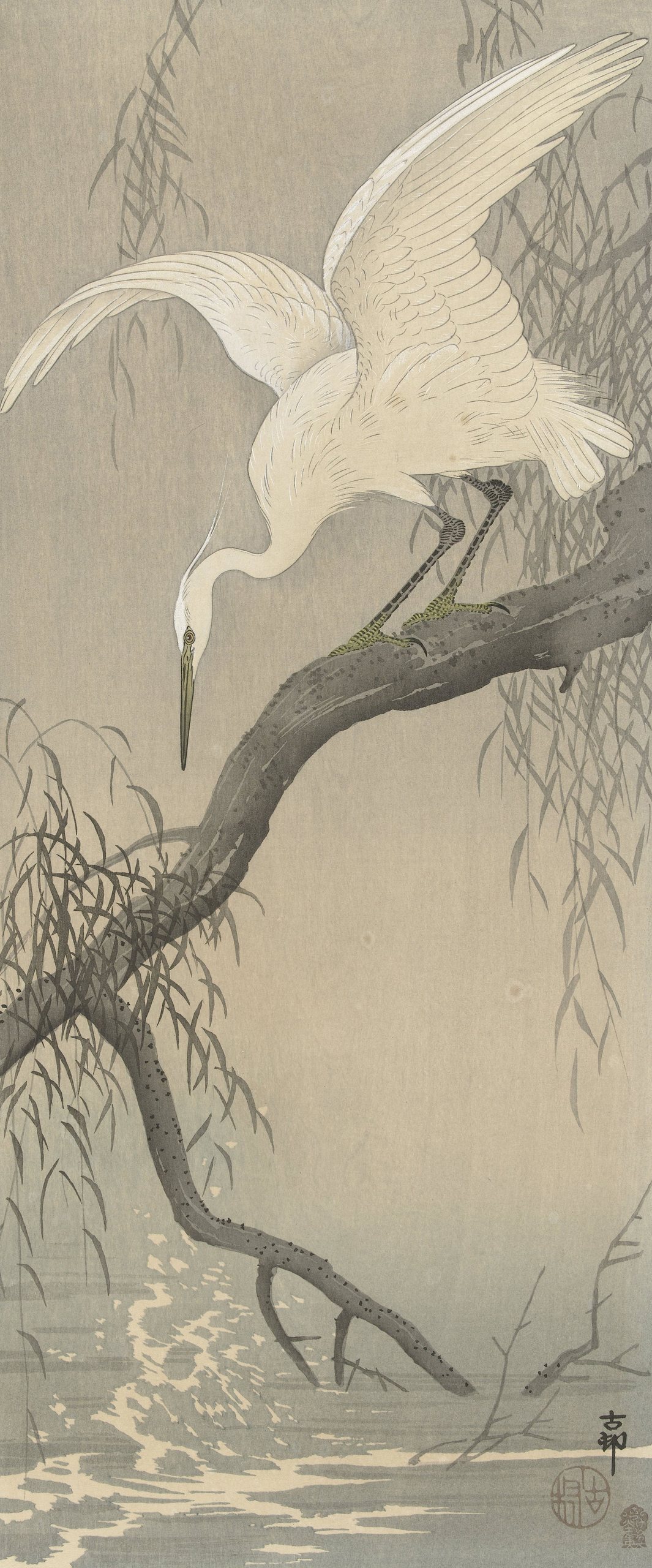 《树枝上的白鹭》（White heron on tree branch）｜小原古邨 Ohara Koson｜1900-1910
