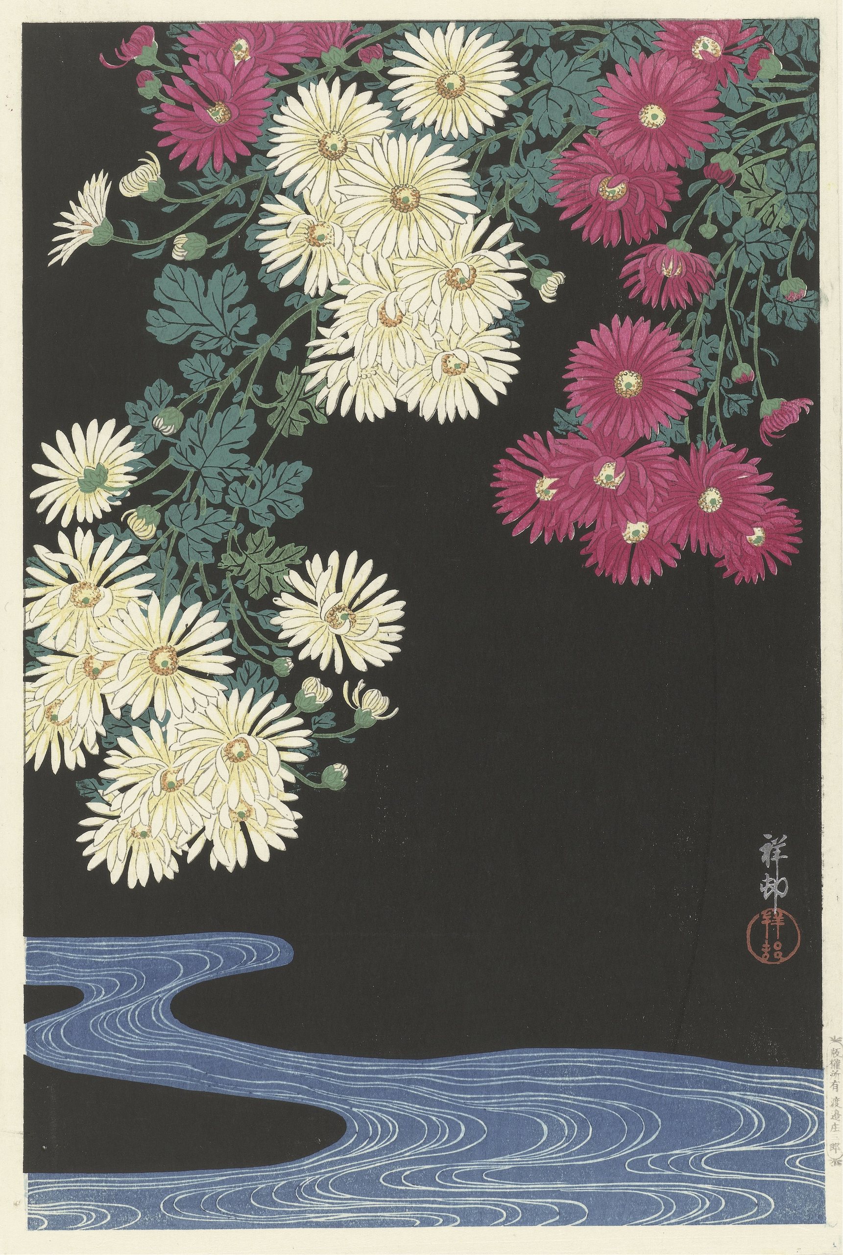 菊花与流水