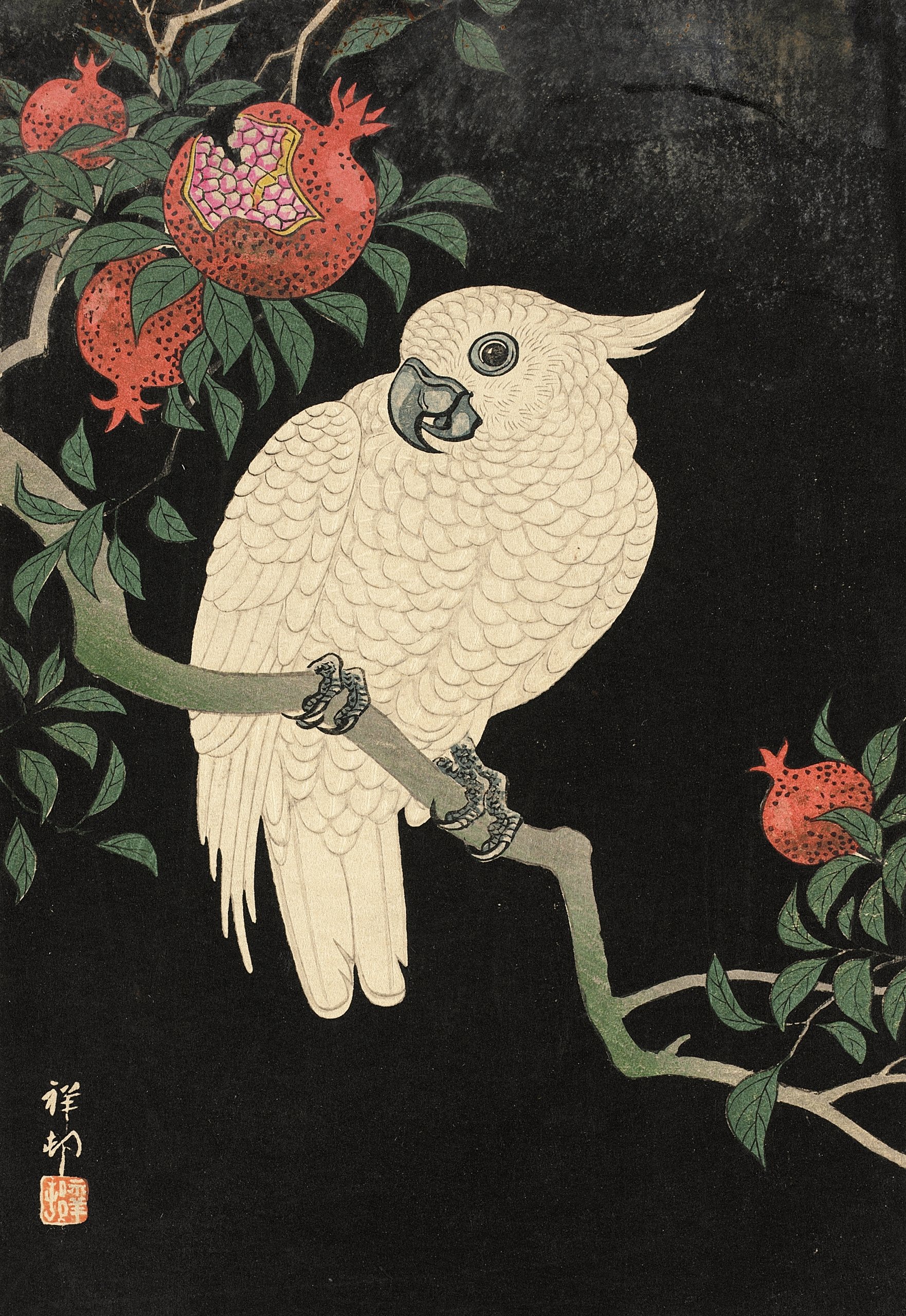《凤头鹦鹉和石榴（20 世纪）》（Cockatoo And Pomegranate (20th Century)）｜小原古邨 Ohara Koson｜不明