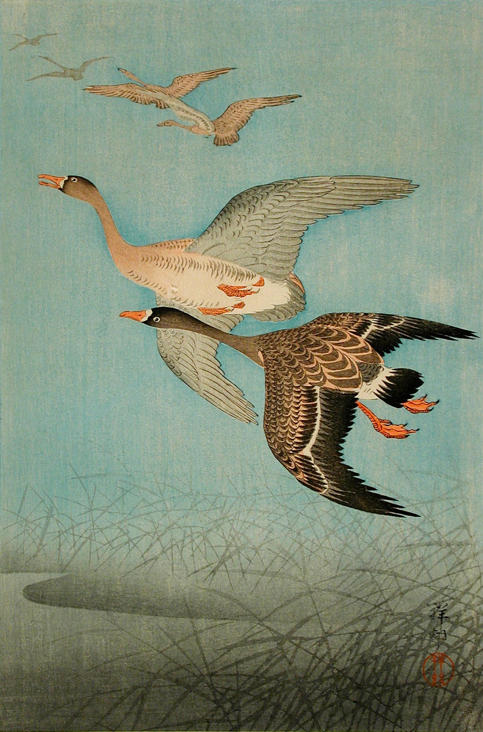 雁行