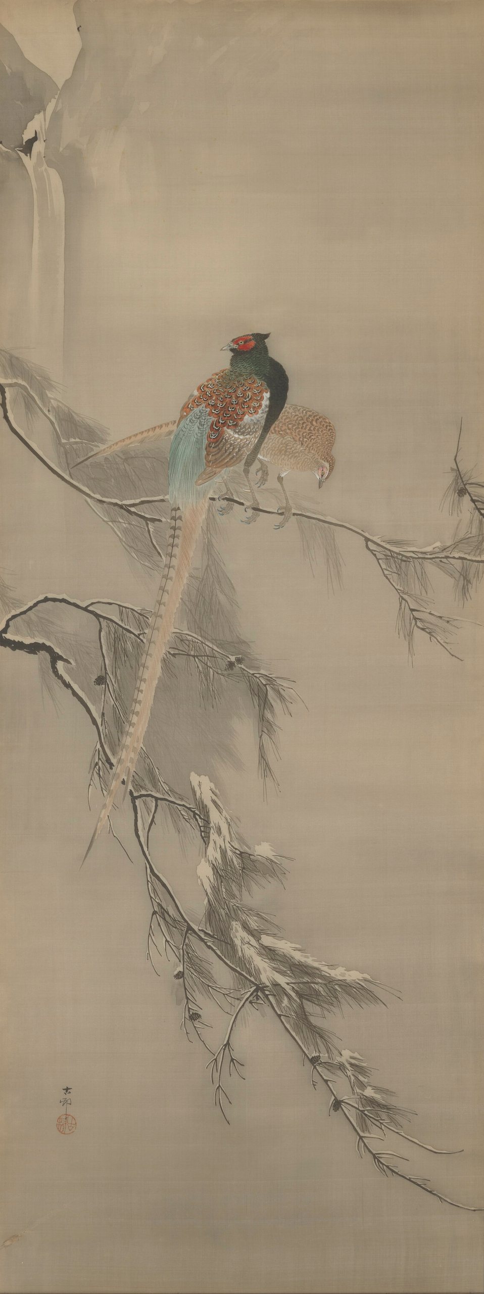 雪树枝上的一对雉鸡
