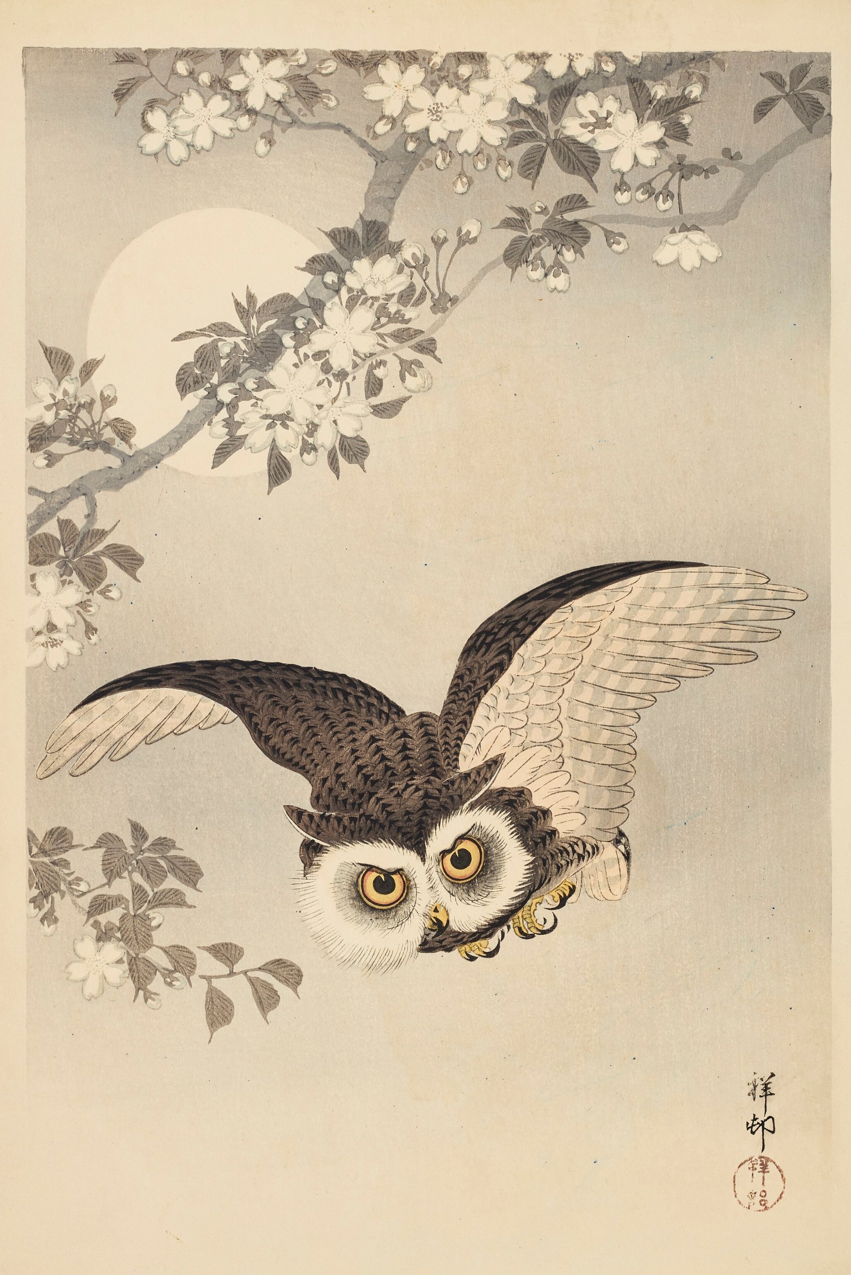 《角鸮、樱花和月亮》（Scops Owl, Cherry Blossoms, and Moon）｜小原古邨 Ohara Koson｜不明