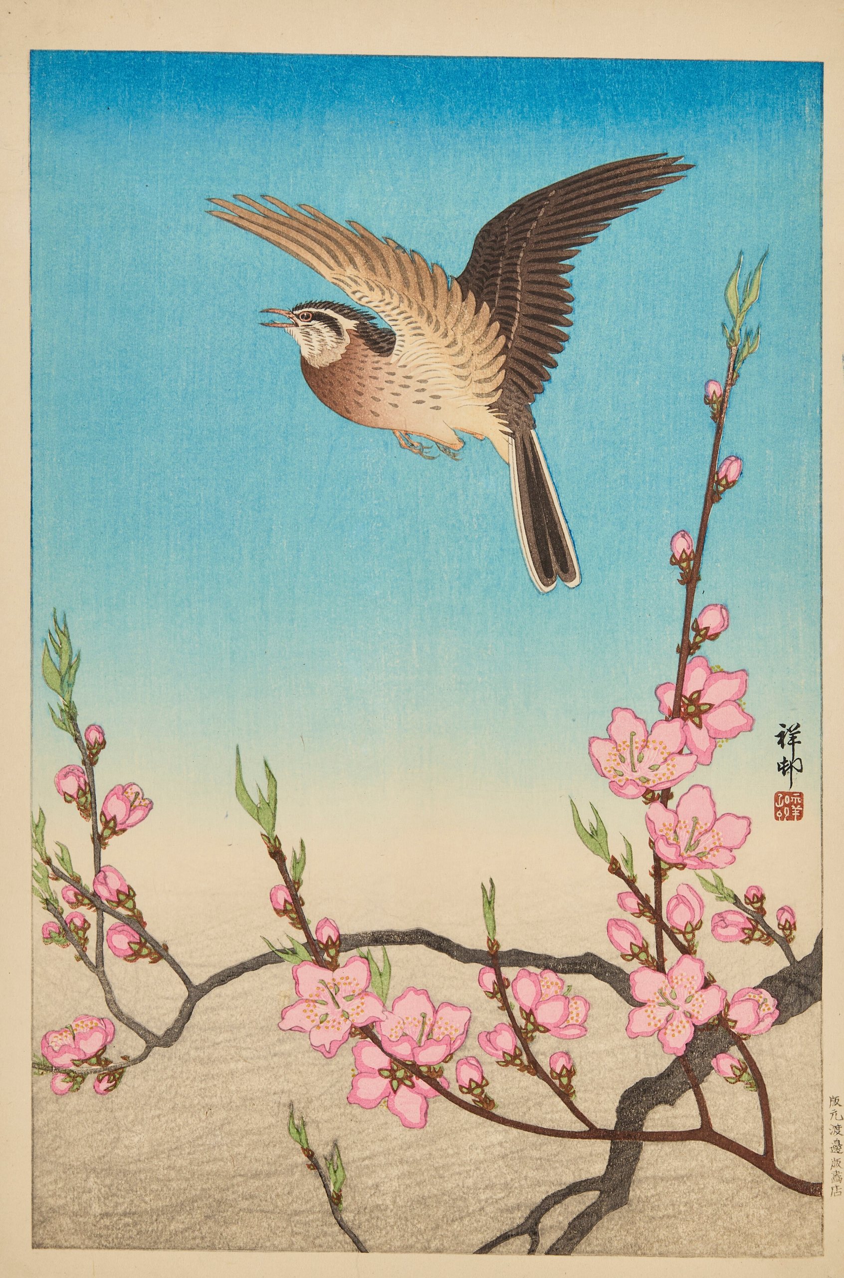 《云雀在盛开的桃花上空飞行》（Skylark in flight above blossoming peach）｜小原古邨 Ohara Koson｜约 1931