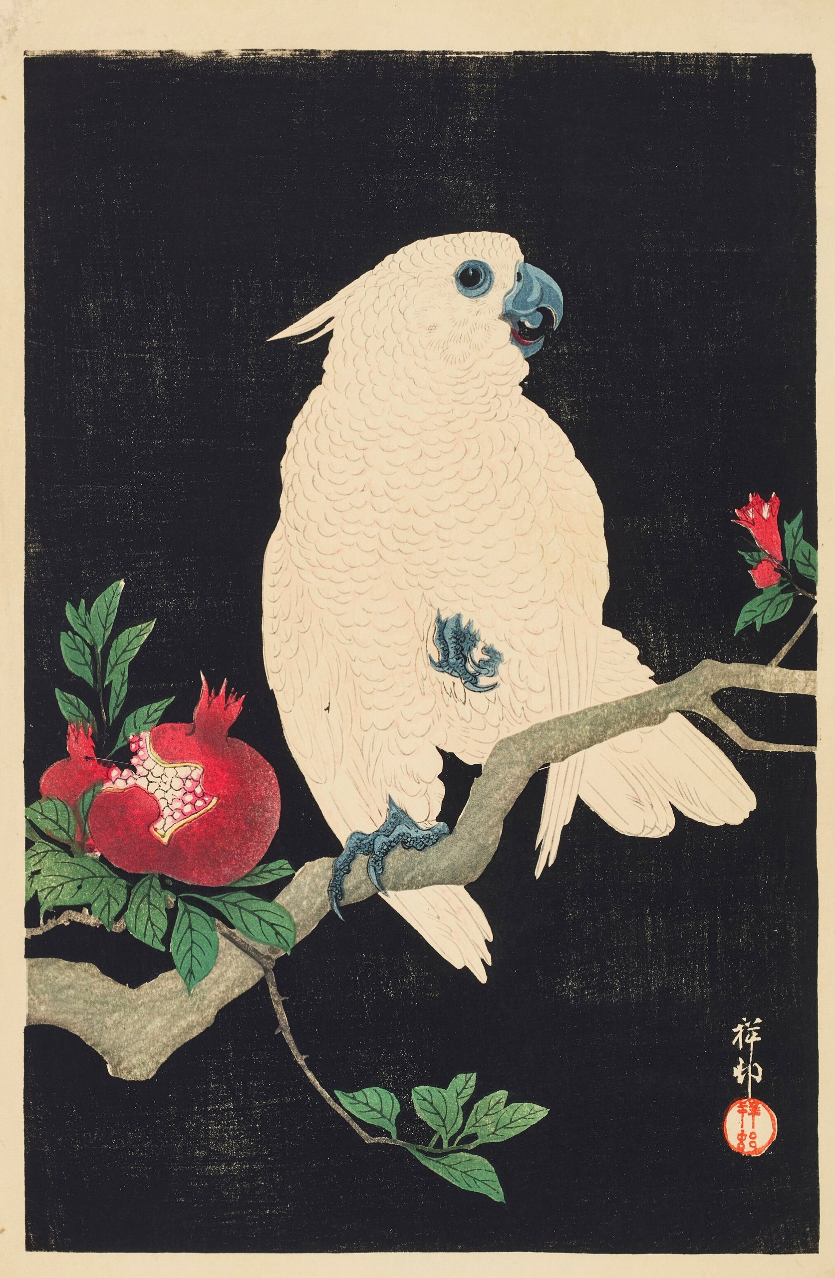 《凤头鹦鹉和石榴》（Cockatoo and pomegranate）｜小原古邨 Ohara Koson｜不明