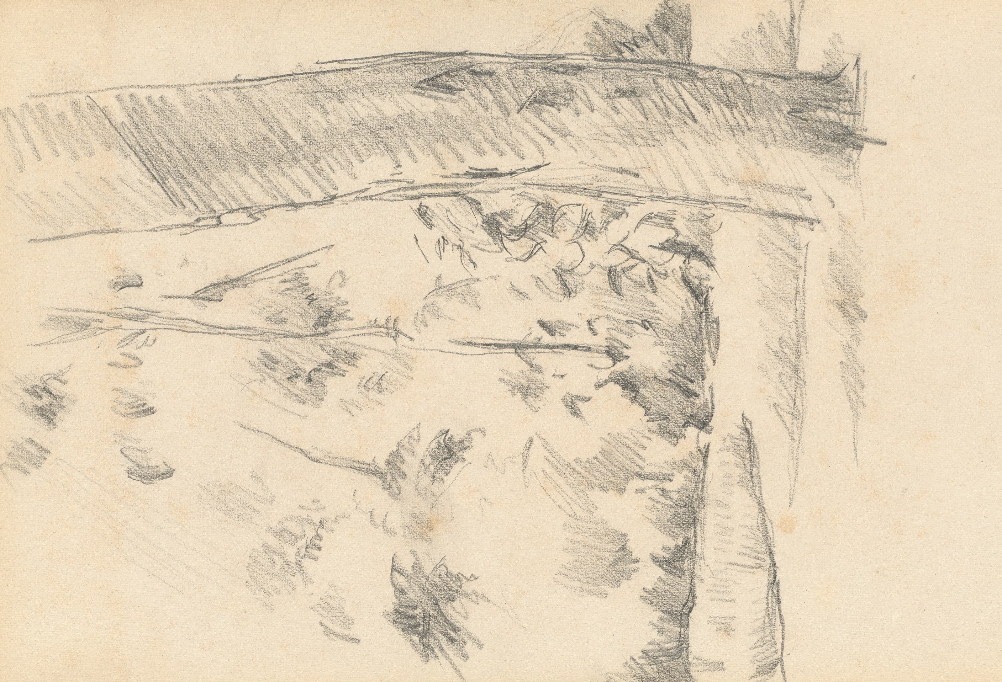 《树木和灌木》（trees and shrubs）｜保罗·塞尚 Paul Cézanne｜1883–1887