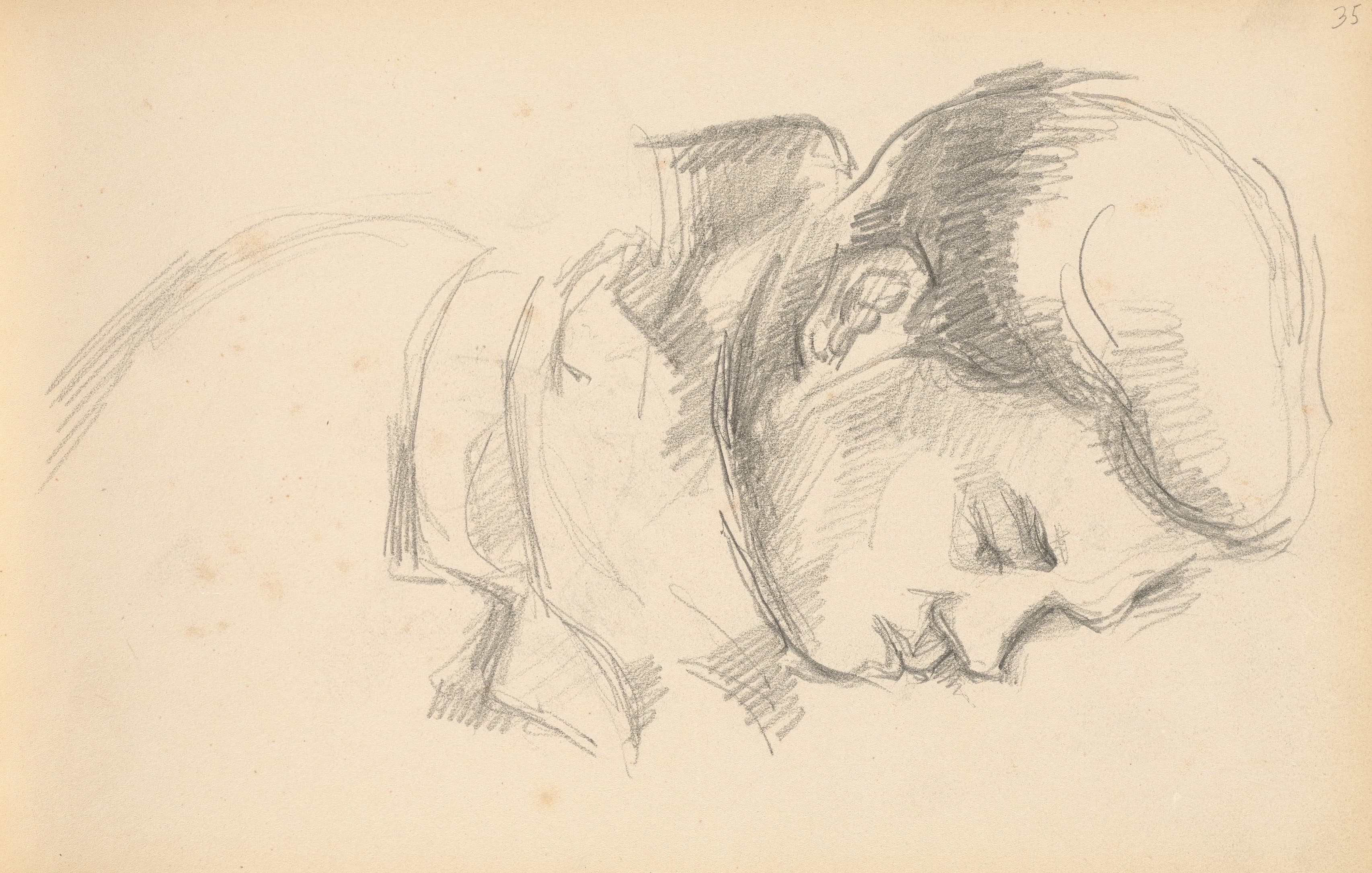 《艺术家儿子c》（the artists son c）｜保罗·塞尚 Paul Cézanne｜1887
