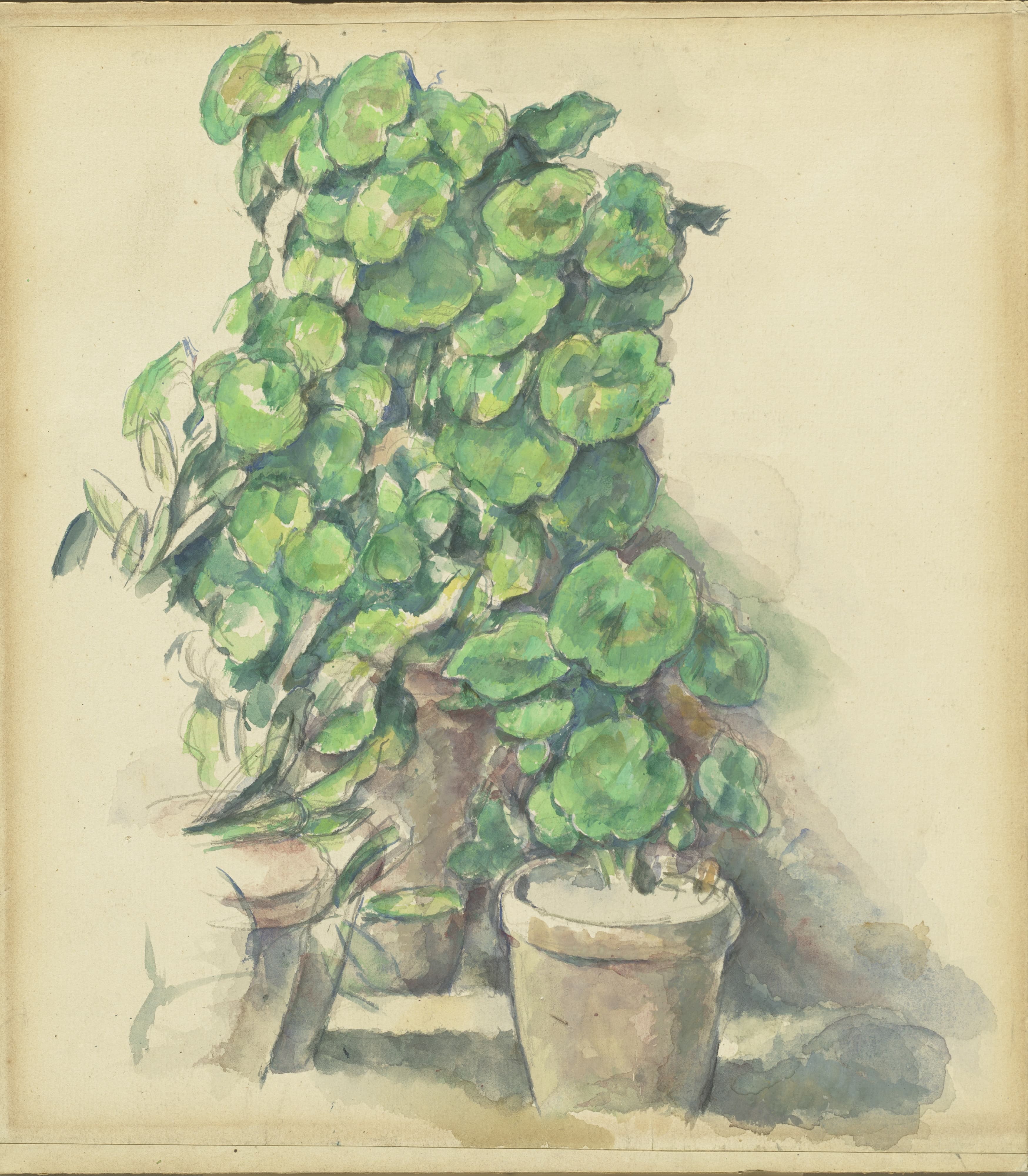 《天竺葵》（geraniums）｜保罗·塞尚 Paul Cézanne｜1888–1890