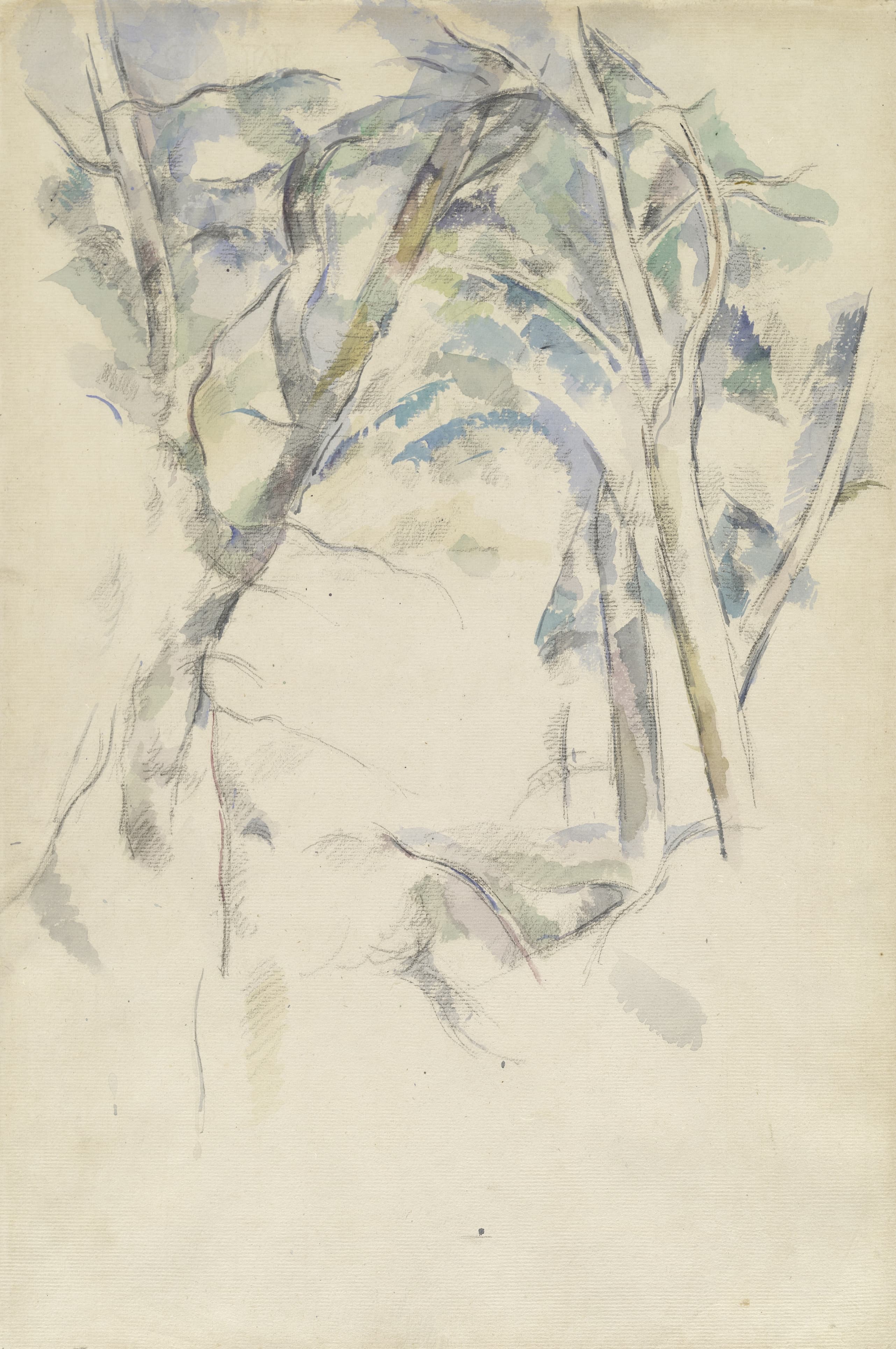 《树木倾斜在岩石上 c》（trees leaning over rocks c）｜保罗·塞尚 Paul Cézanne｜1892