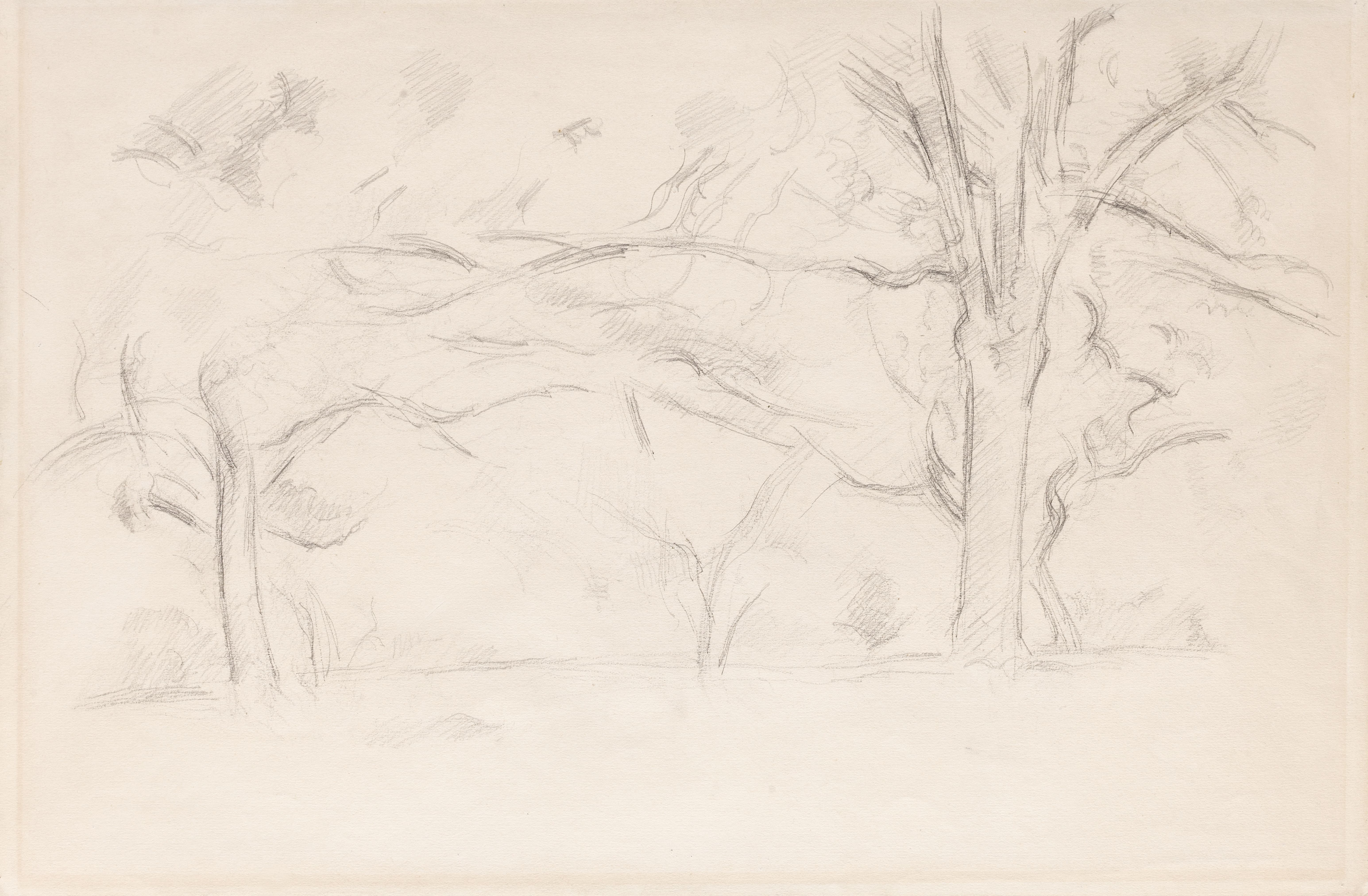 《树与 jas de bouffan》（trees with jas de bouffan）｜保罗·塞尚 Paul Cézanne｜约1892-1895