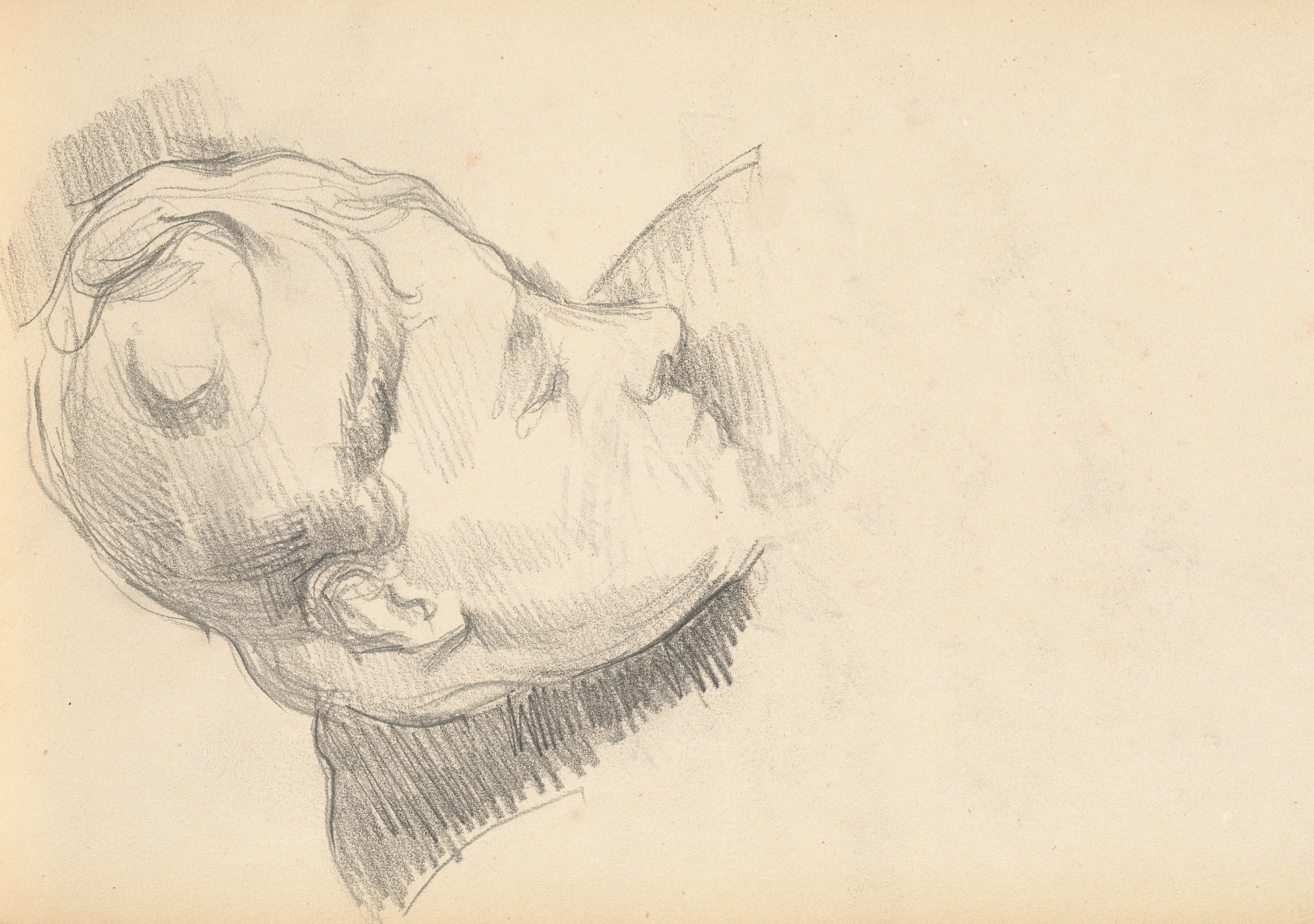 《低着头的塞尚夫人》（madame cezanne with her head lowered）｜保罗·塞尚 Paul Cézanne｜1893–1896