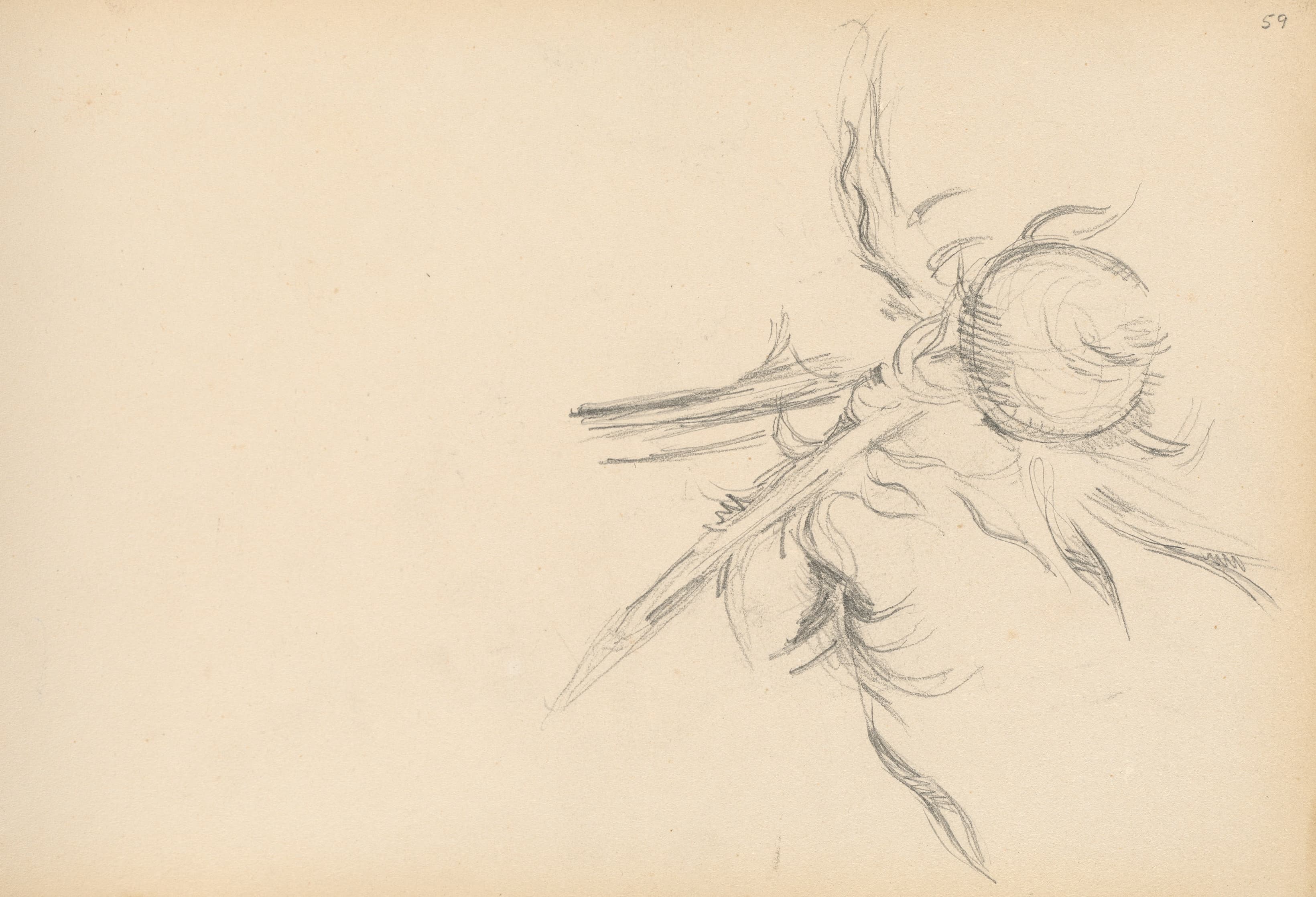 《蓟》（thistle）｜保罗·塞尚 Paul Cézanne｜1893–1896