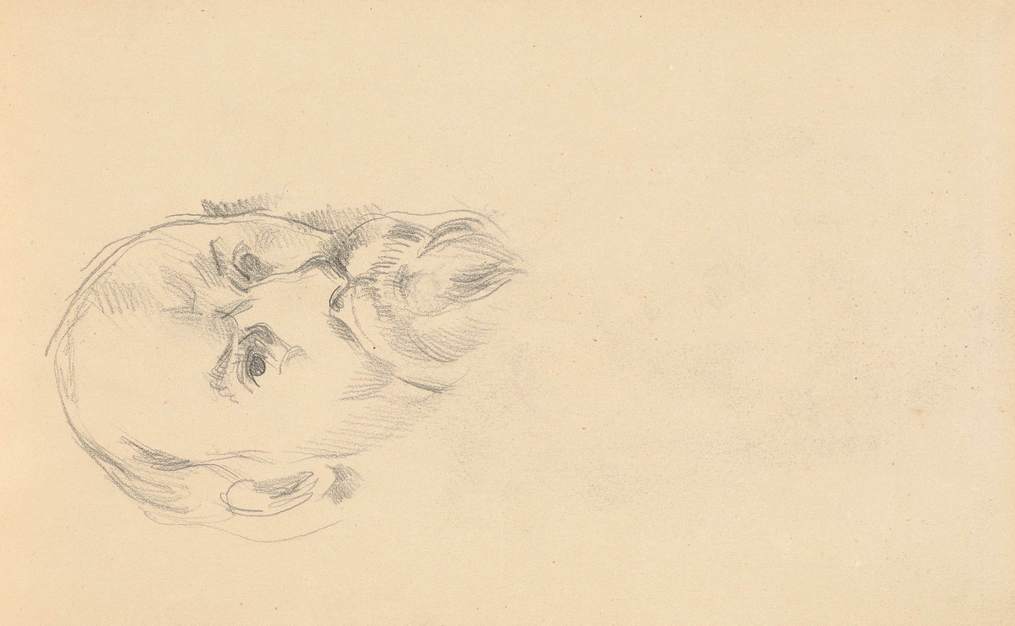 《自画像 C》（self portrait c）｜保罗·塞尚 Paul Cézanne｜1895