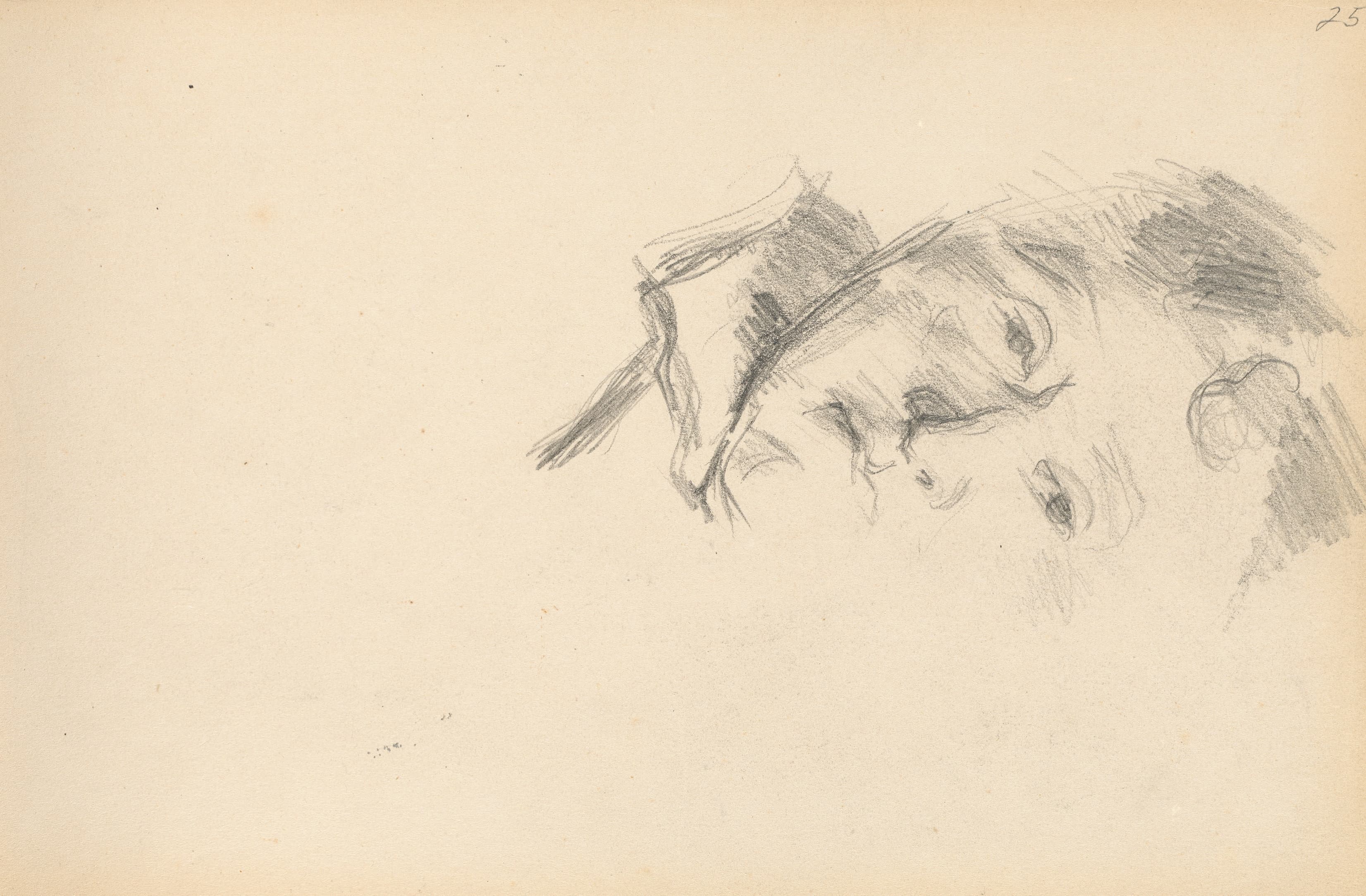 《塞尚夫人》（madame cezanne）｜保罗·塞尚 Paul Cézanne｜1897–1900