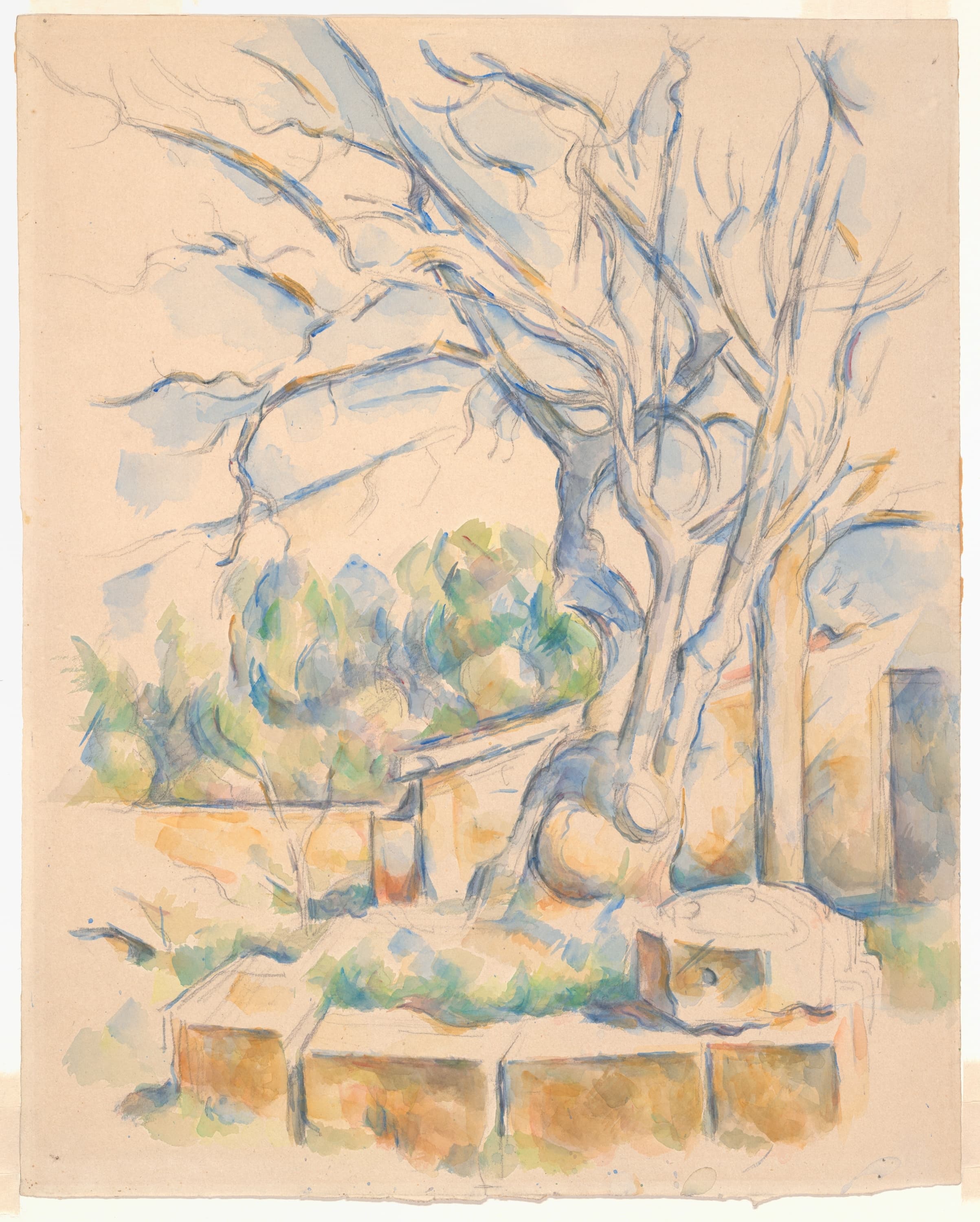 《黑堡 c 的开心果树》（pistachio tree at chateau noir c）｜保罗·塞尚 Paul Cézanne｜1900