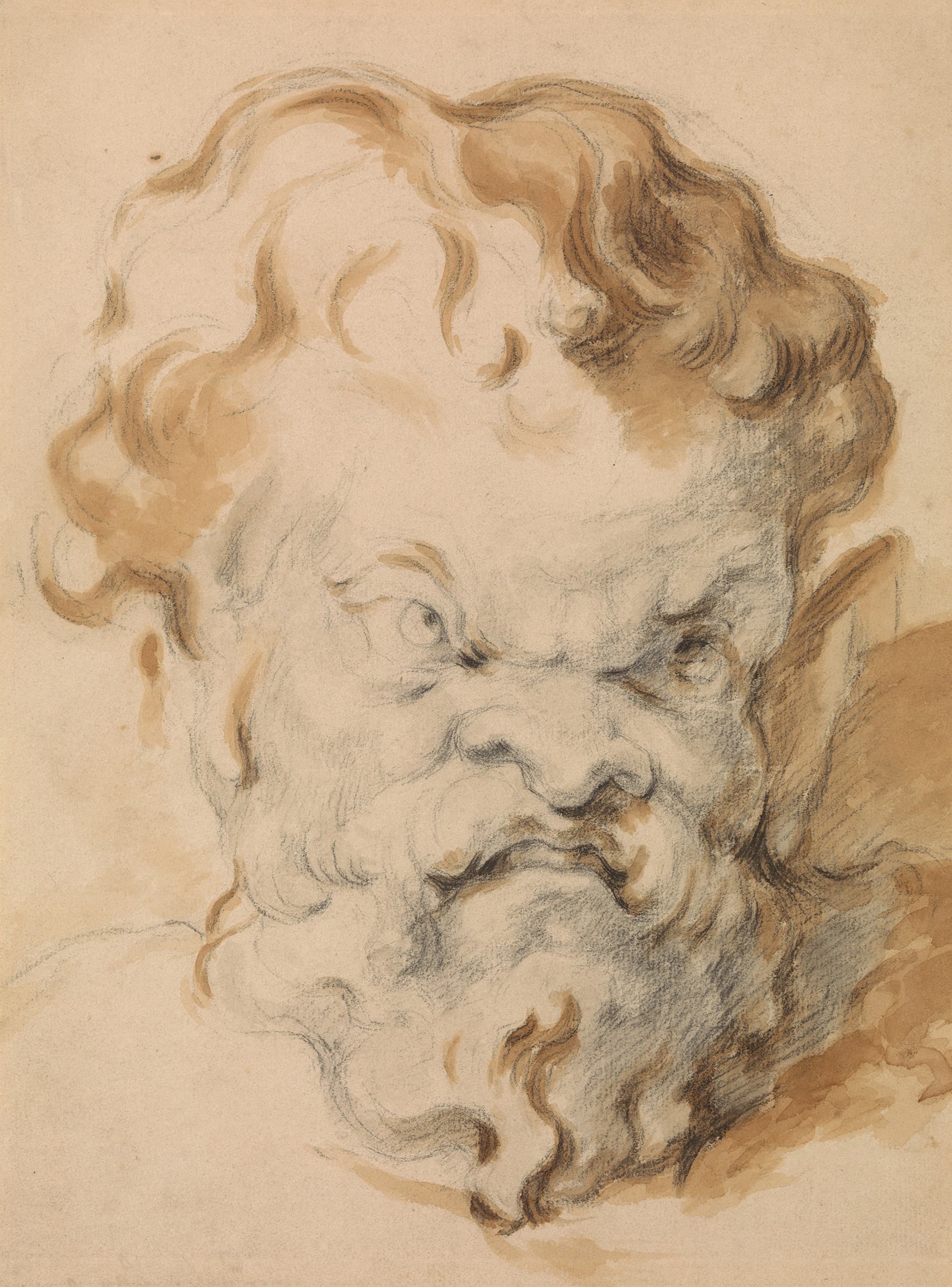 《西勒努斯的头 18551906》（head of silenus 18551906）｜保罗·塞尚 Paul Cézanne｜不明