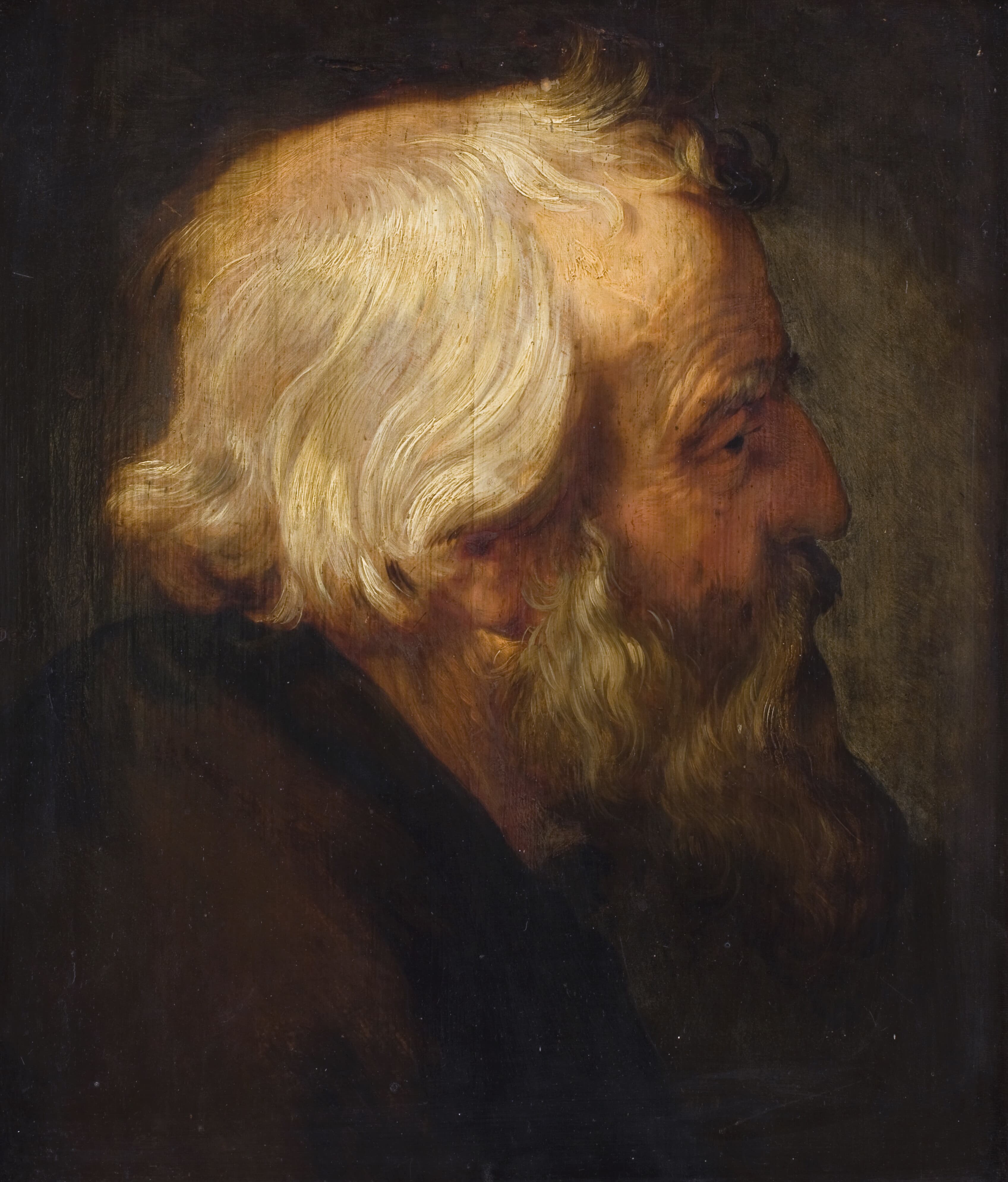 《使徒彼得》（The Apostle Peter）｜彼得·保罗·鲁本斯 Peter Paul Rubens｜不明
