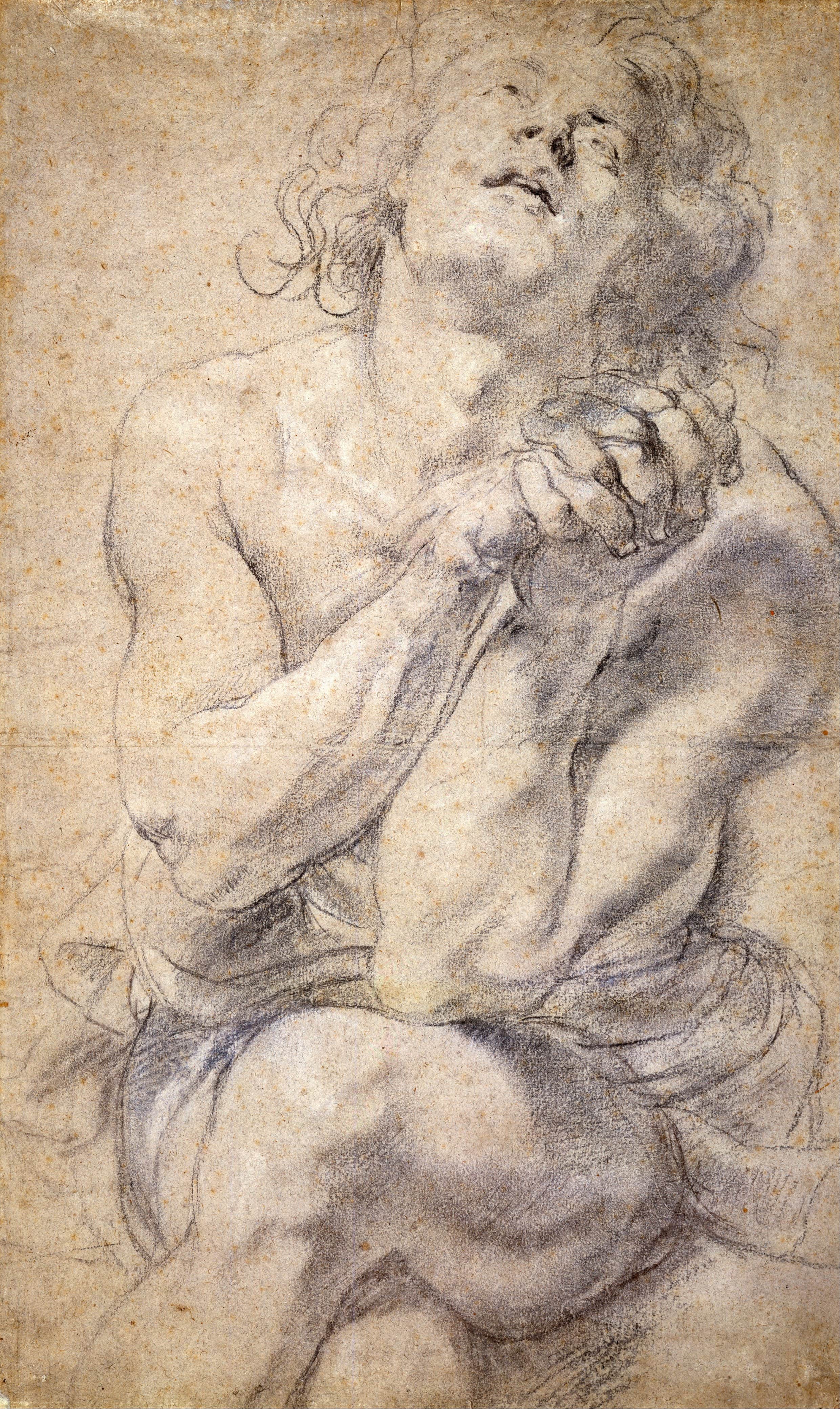 《坐着的男性青年（丹尼尔习作）》（Seated Male Youth (Study for Daniel)）｜彼得·保罗·鲁本斯 Peter Paul Rubens｜不明