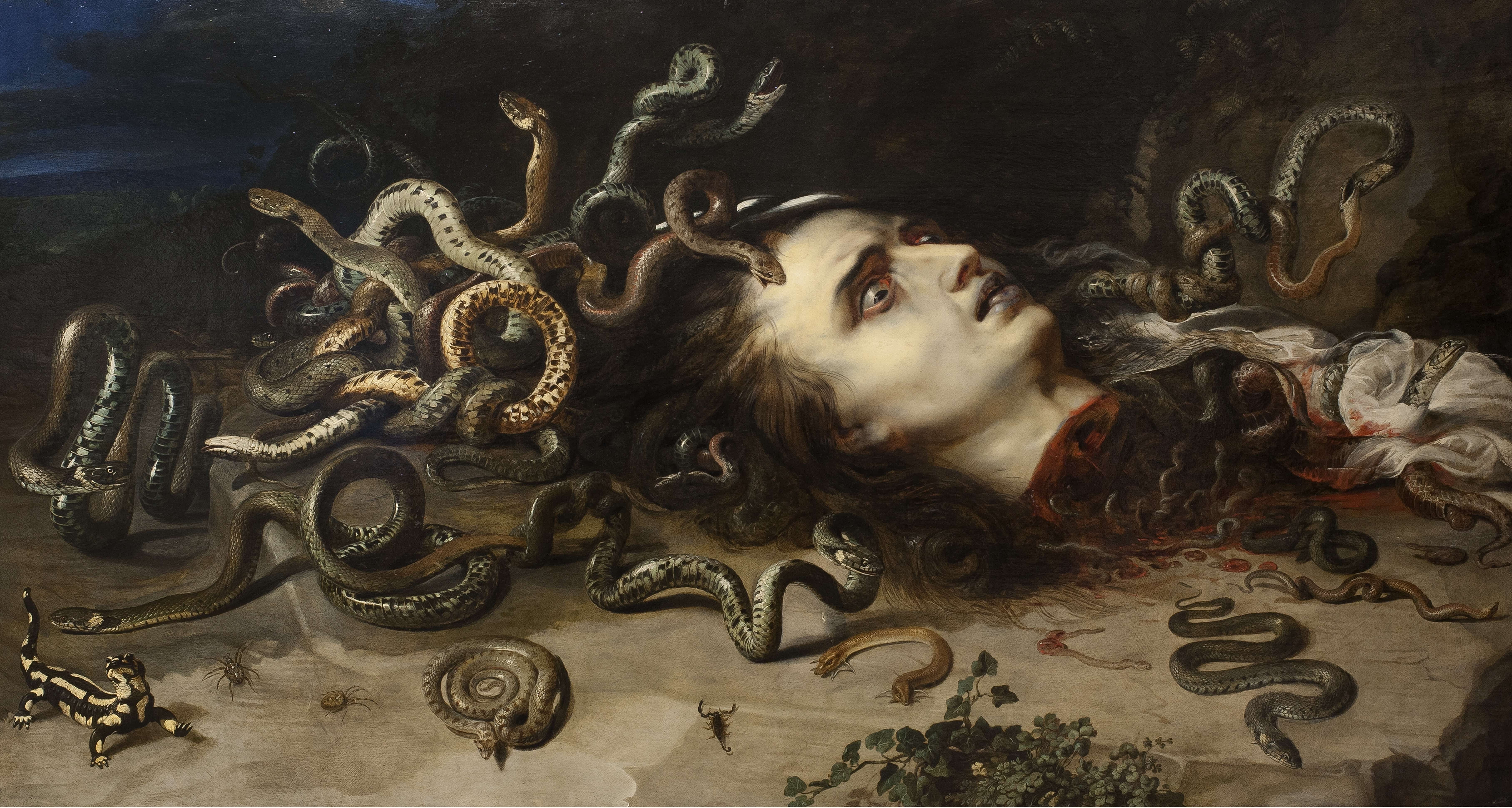 《美杜莎头像》（Head of Medusa）｜彼得·保罗·鲁本斯 Peter Paul Rubens｜1617–1618