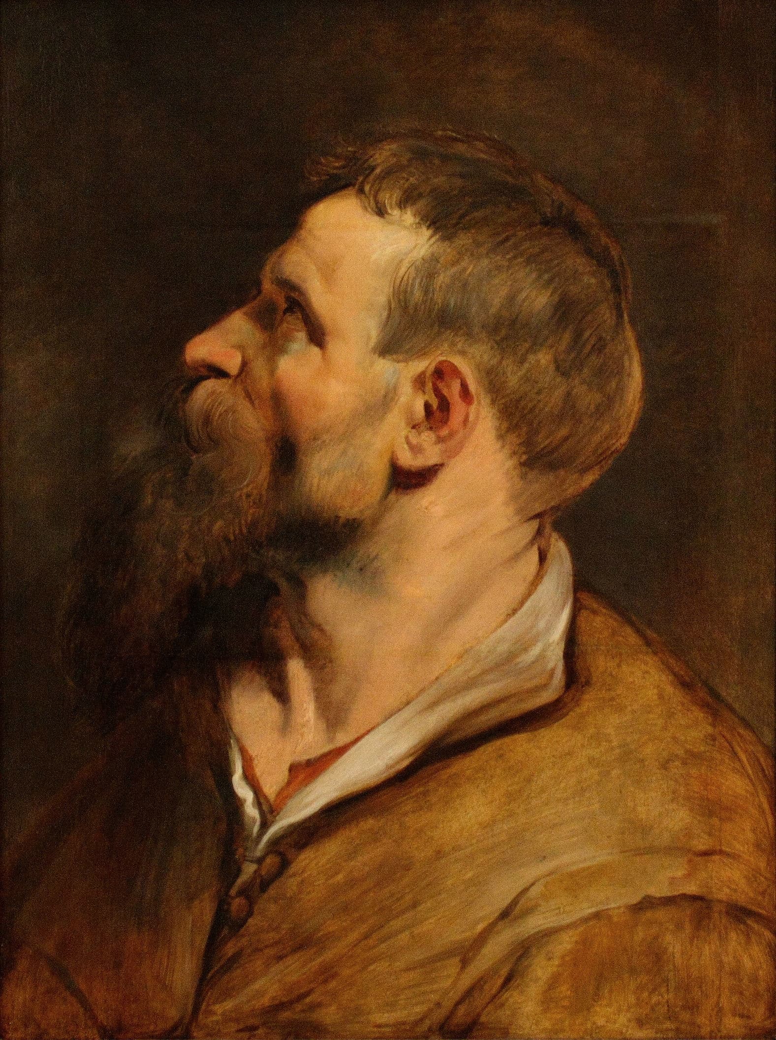 《留胡子的男人头像》（Head of a bearded man）｜彼得·保罗·鲁本斯 Peter Paul Rubens｜between 1620 and 1621