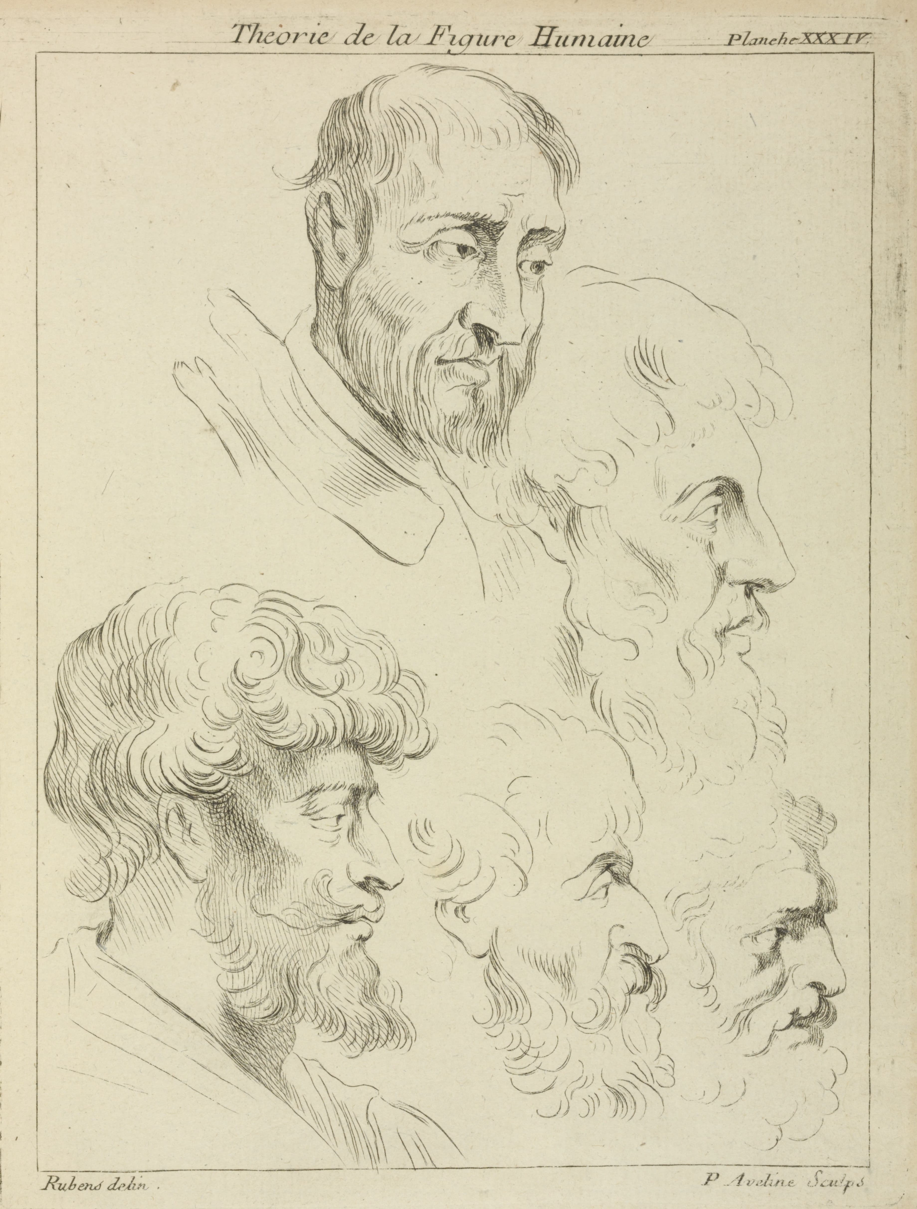 《五幅男性头部研究，四幅侧面研究》（Five studies of men's heads, four in profile）｜彼得·保罗·鲁本斯 Peter Paul Rubens｜不明