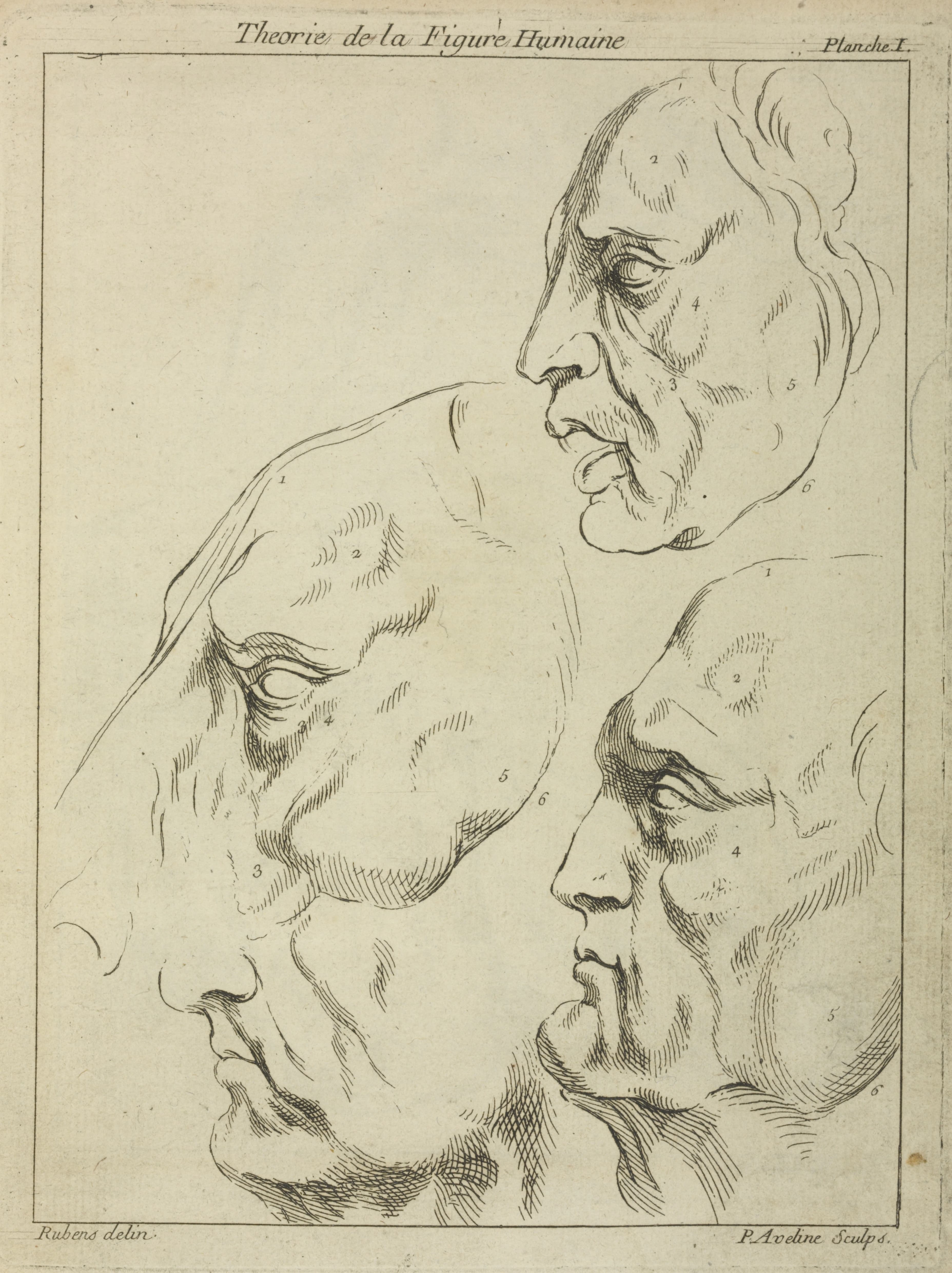 《四张脸——三人一马——侧面》（Four faces–three human, one horse– in profile）｜彼得·保罗·鲁本斯 Peter Paul Rubens｜不明