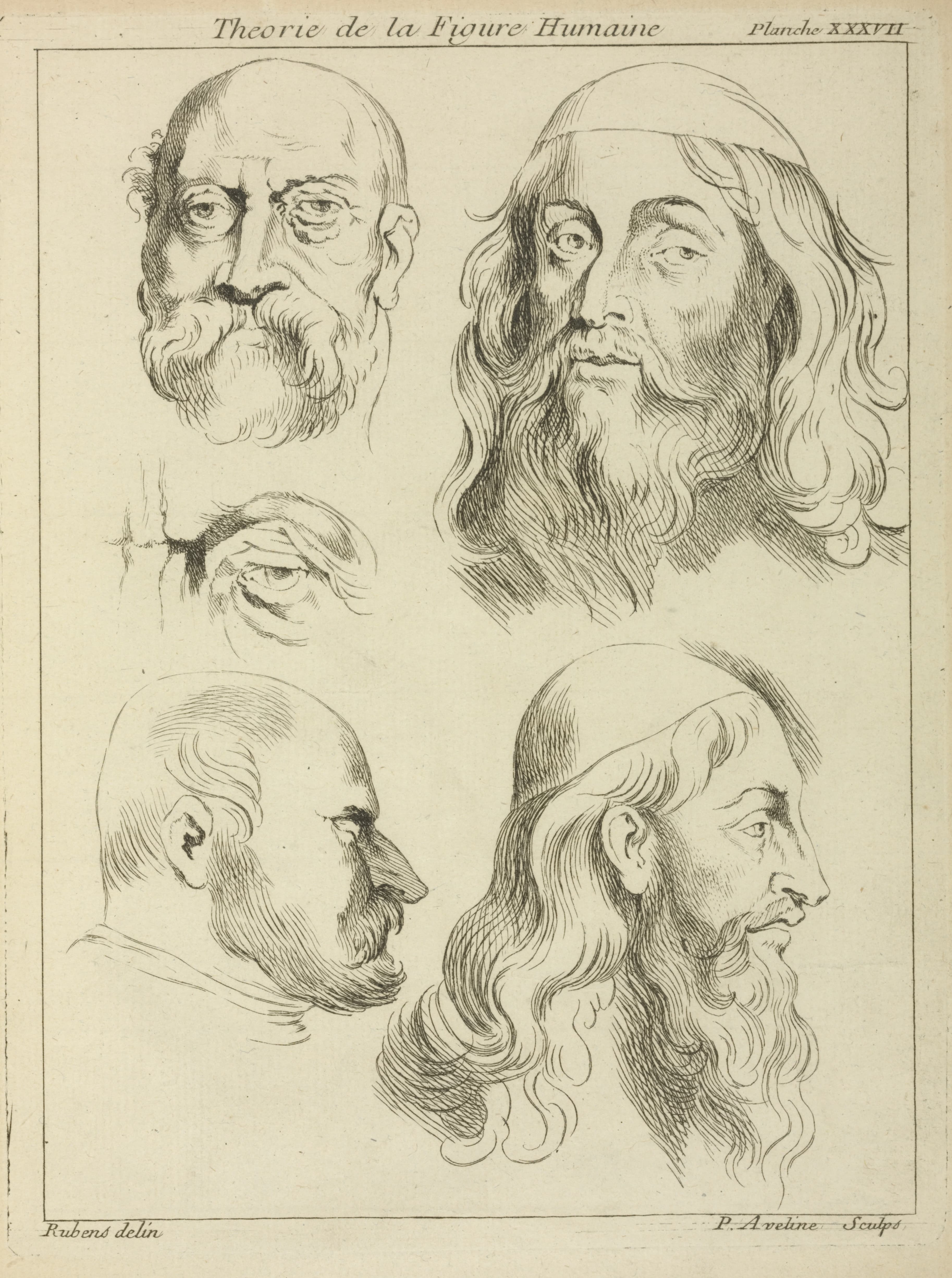 《对男性头部和眼睛的四项研究》（Four studies of men's heads, and an eye）｜彼得·保罗·鲁本斯 Peter Paul Rubens｜不明