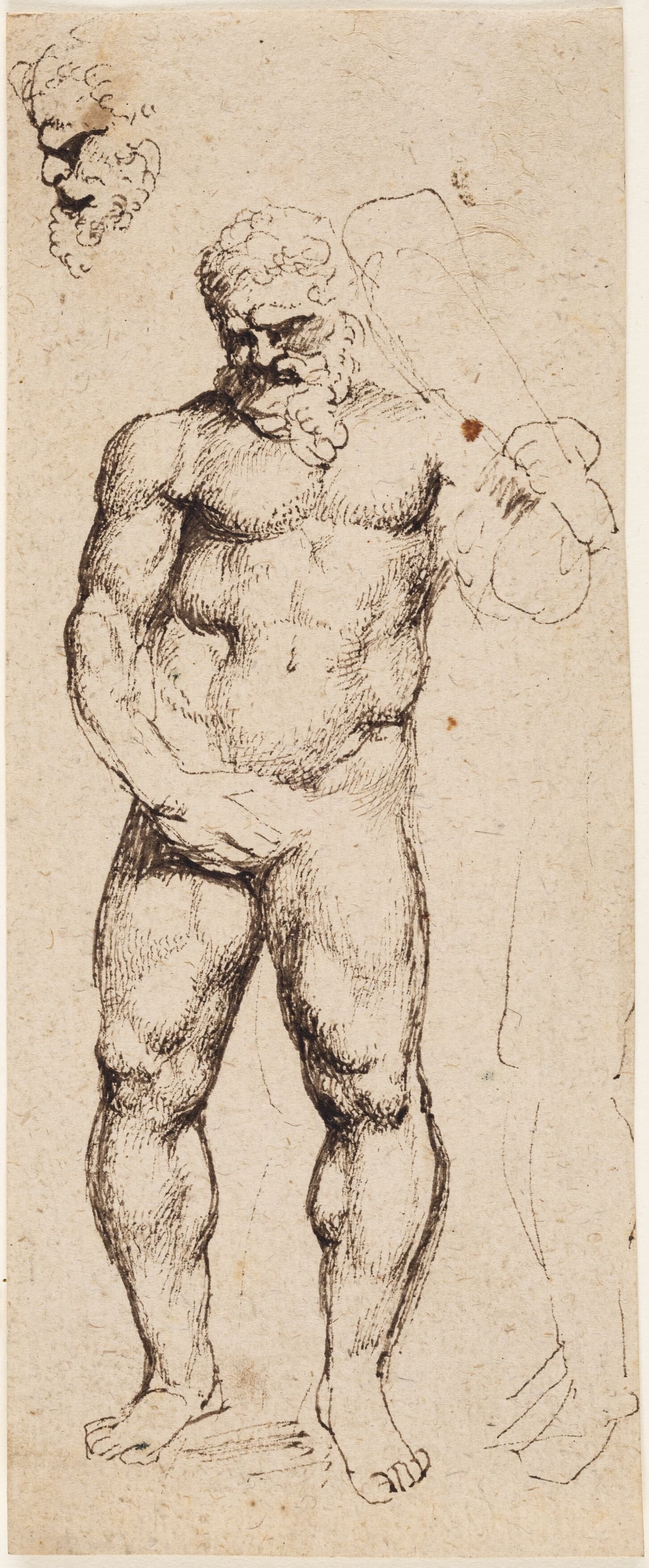 《赫拉克勒斯》（Hercules）｜彼得·保罗·鲁本斯 Peter Paul Rubens｜不明