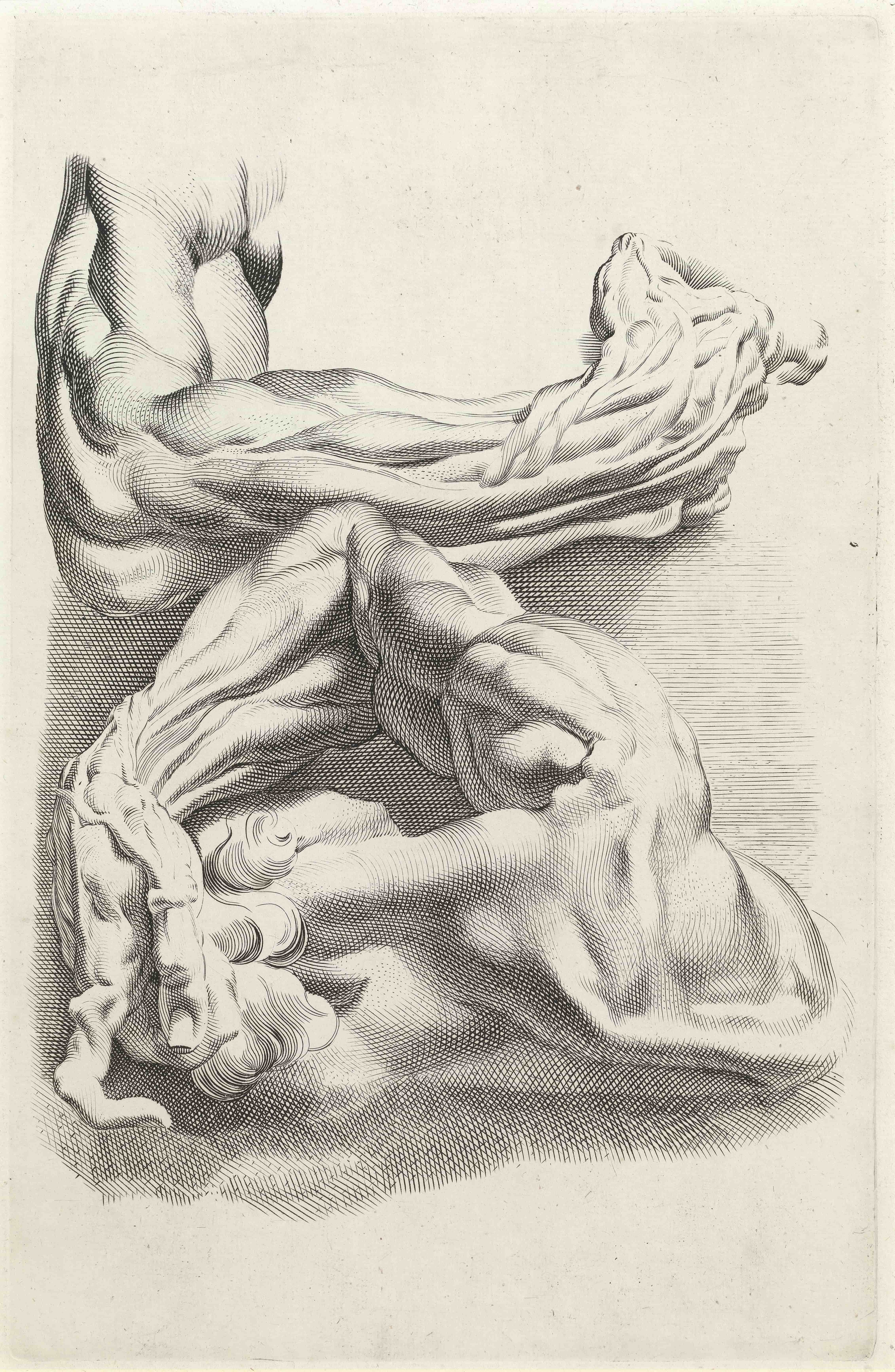 《肌肉》（Muscles）｜彼得·保罗·鲁本斯 Peter Paul Rubens｜不明