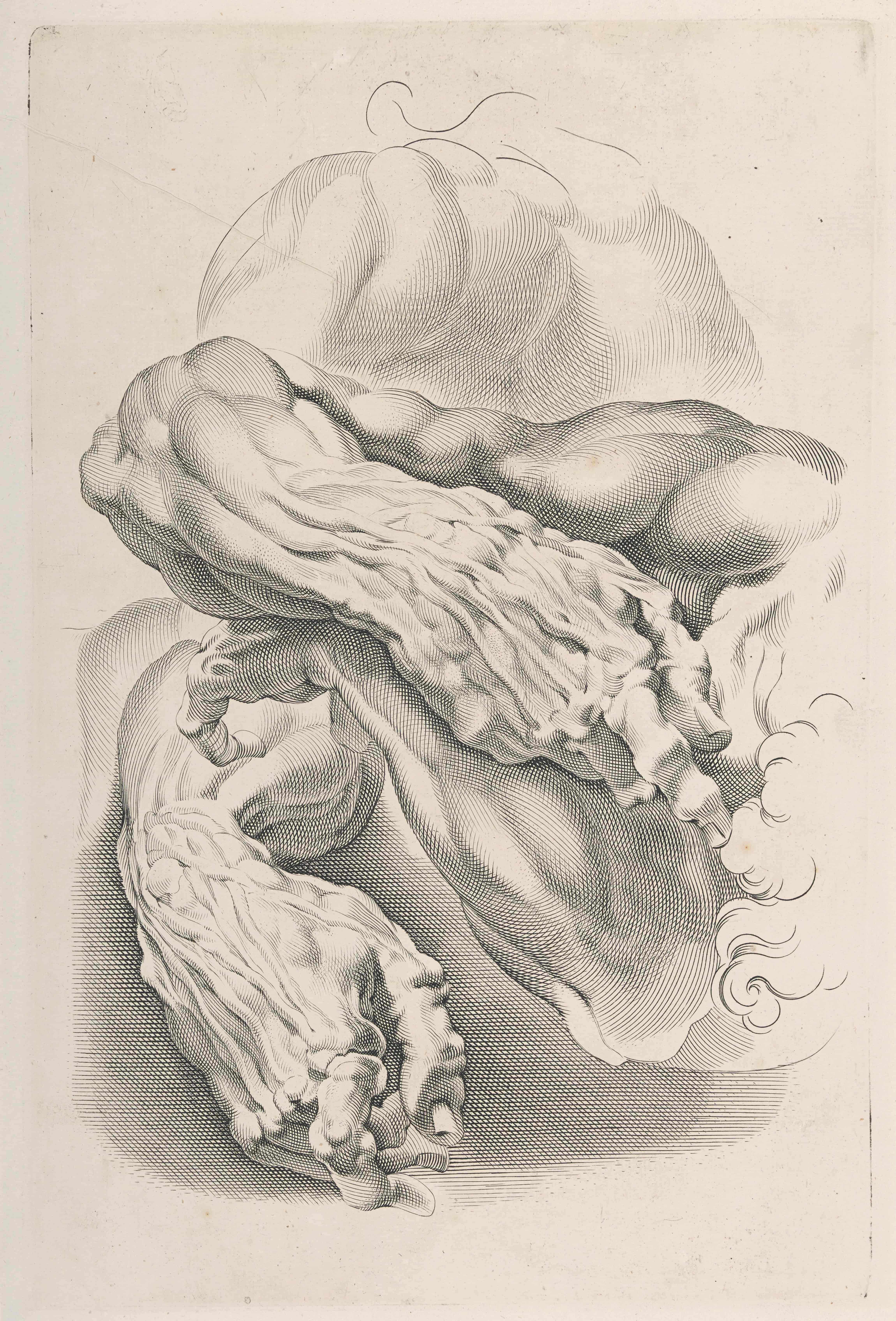 《肌肉》（Muscles）｜彼得·保罗·鲁本斯 Peter Paul Rubens｜不明