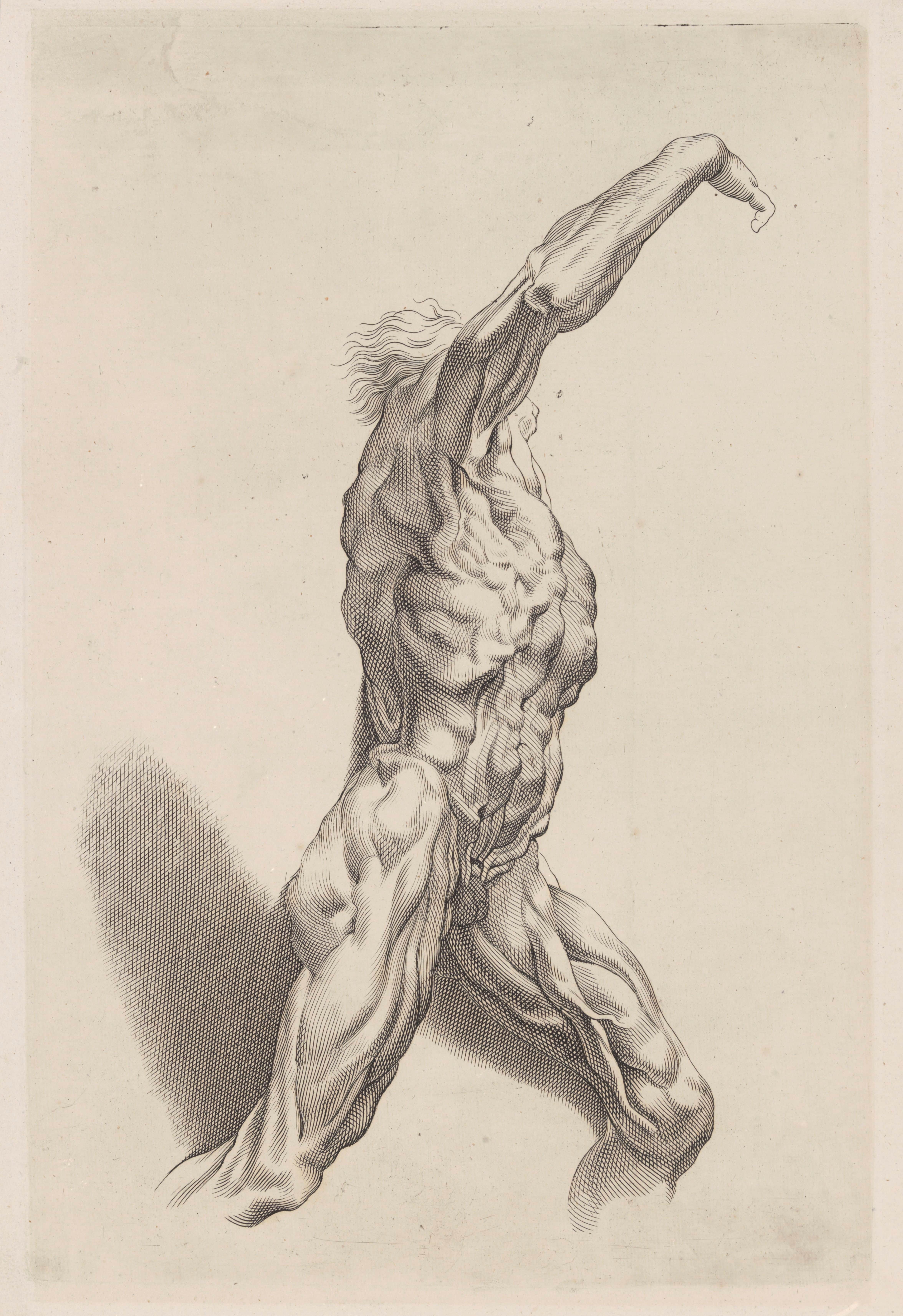 《裸体研究》（Nude Study）｜彼得·保罗·鲁本斯 Peter Paul Rubens｜不明