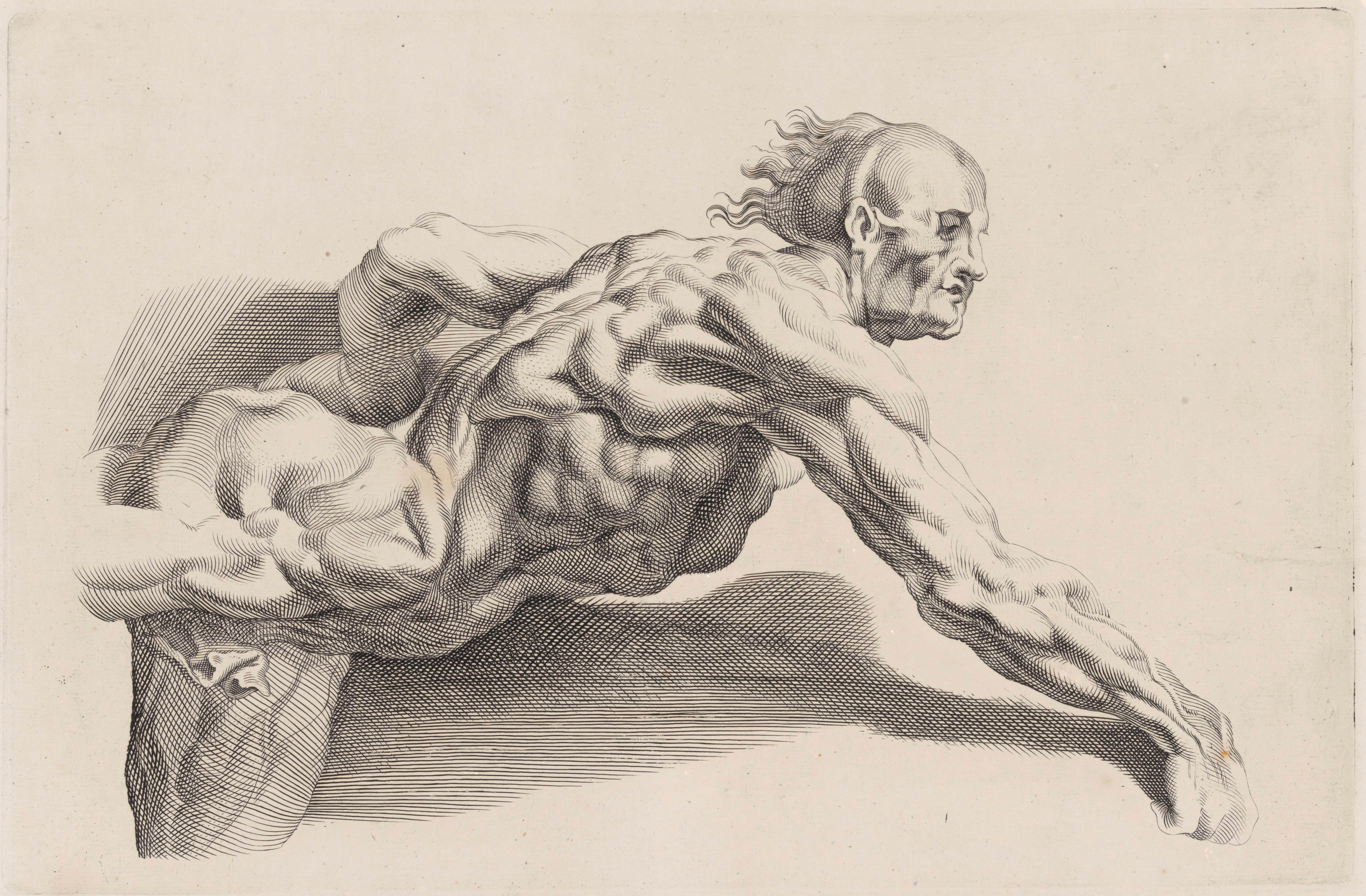 《裸体研究》（Nude Study）｜彼得·保罗·鲁本斯 Peter Paul Rubens｜不明
