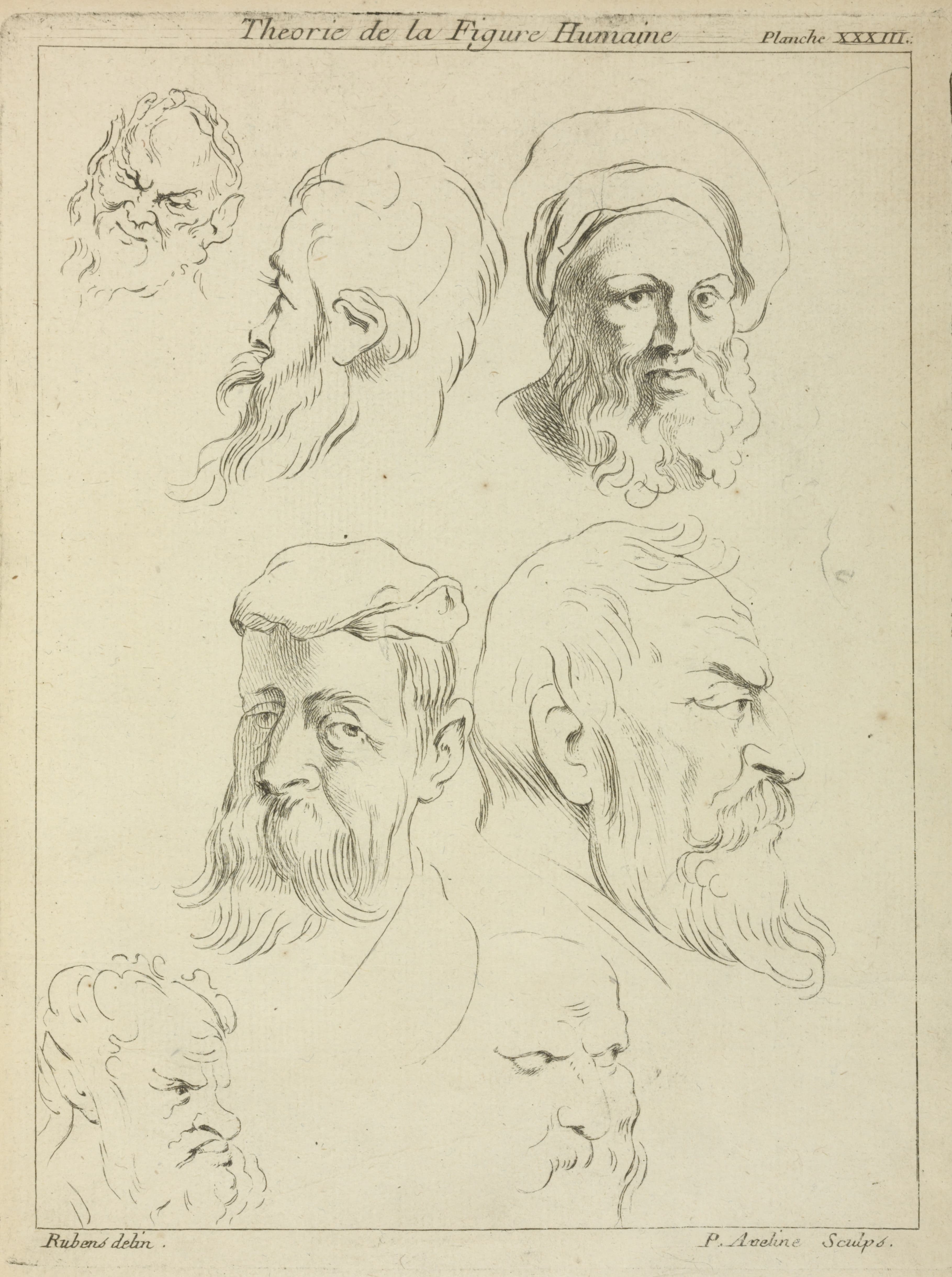 《七个男头像，都有胡子，两个戴着帽子》（Seven male heads, all with beards, two wearing caps）｜彼得·保罗·鲁本斯 Peter Paul Rubens｜不明