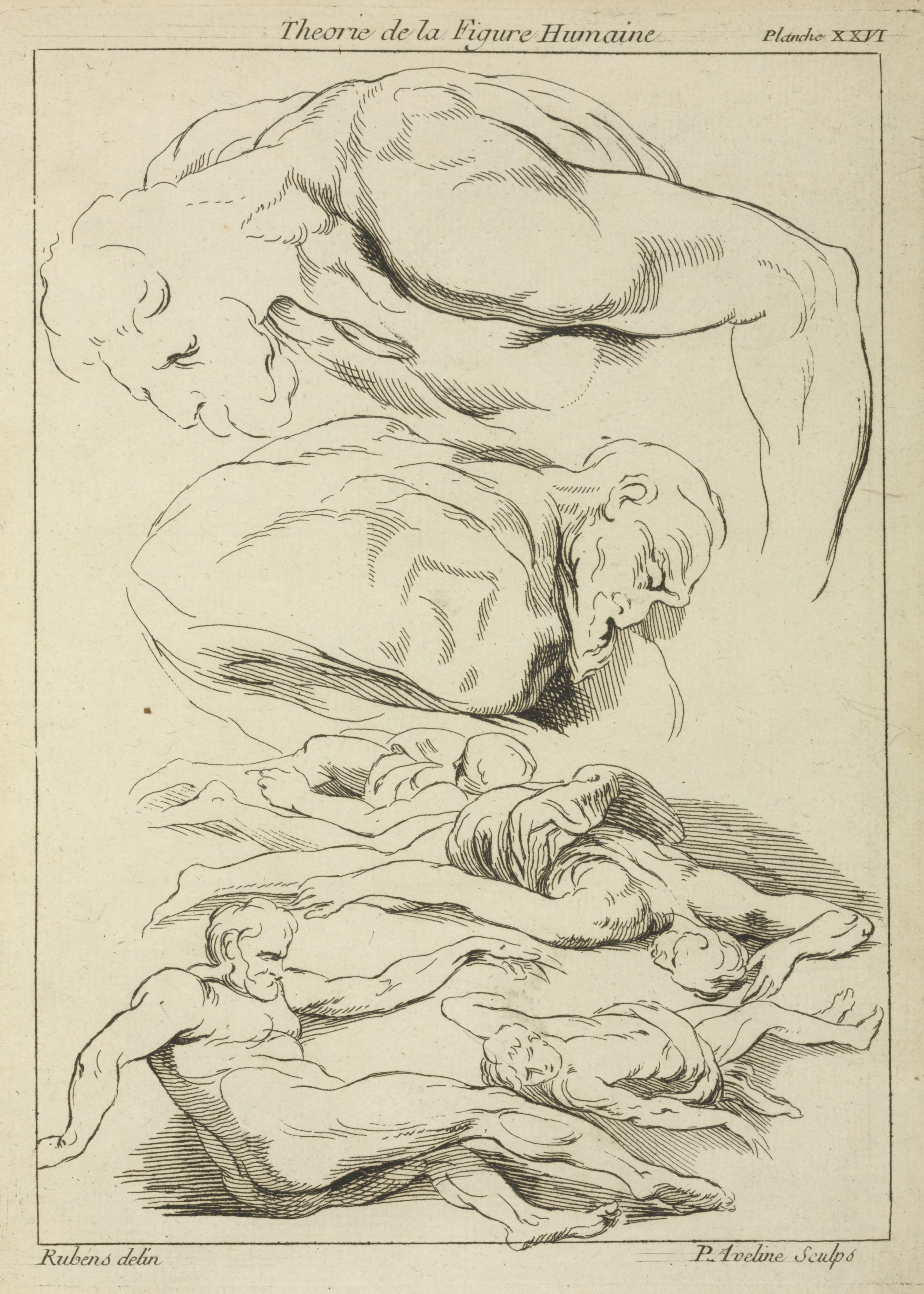 《对不同俯卧位和仰卧位男性人物的六项研究》（Six studies of male figures in various prone and supine positions）｜彼得·保罗·鲁本斯 Peter Paul Rubens｜不明